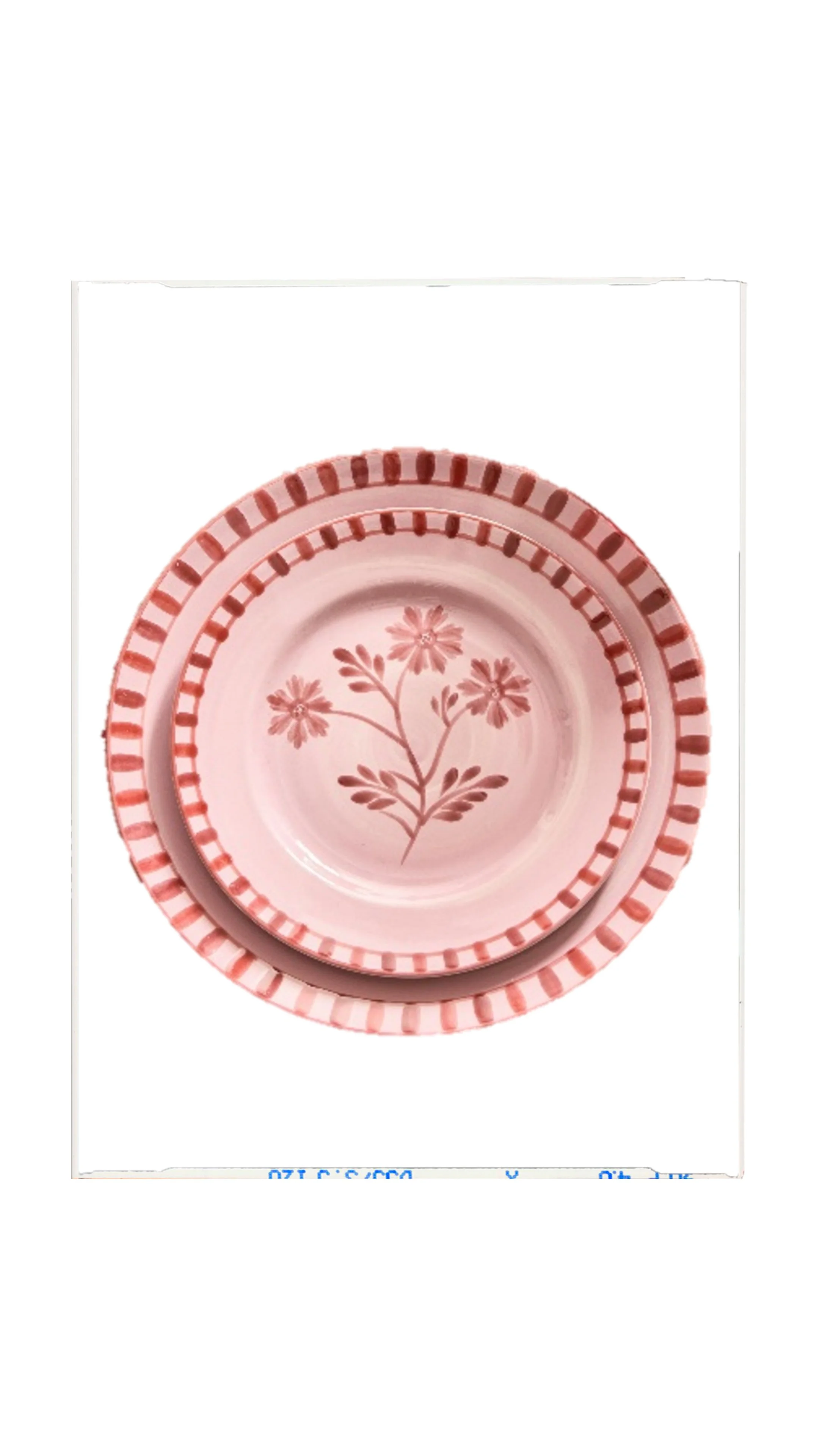 Pink & Red Floral Appetizer & Dinner Plates