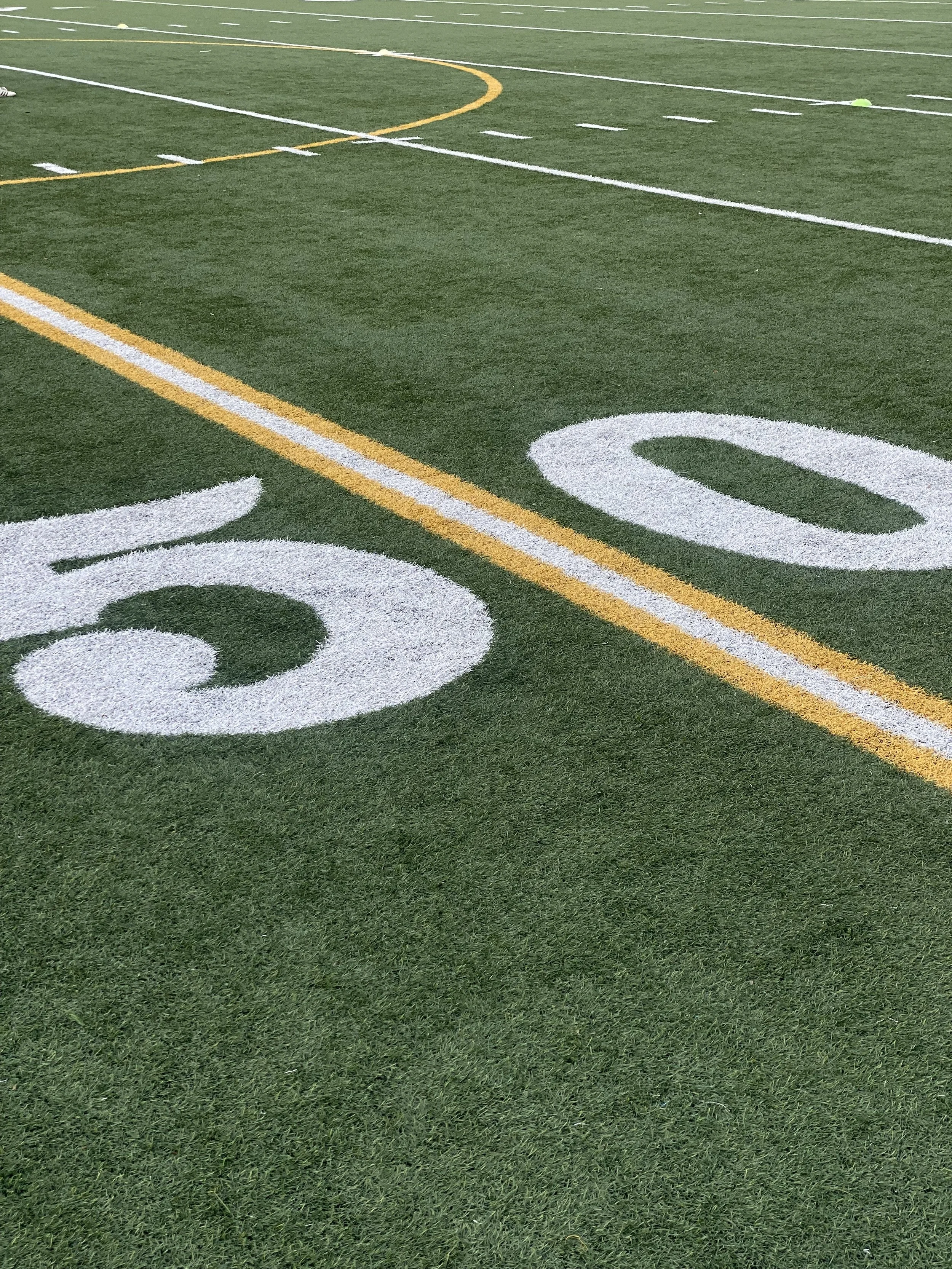 Football field turf representing sports performance and team nutrition consulting