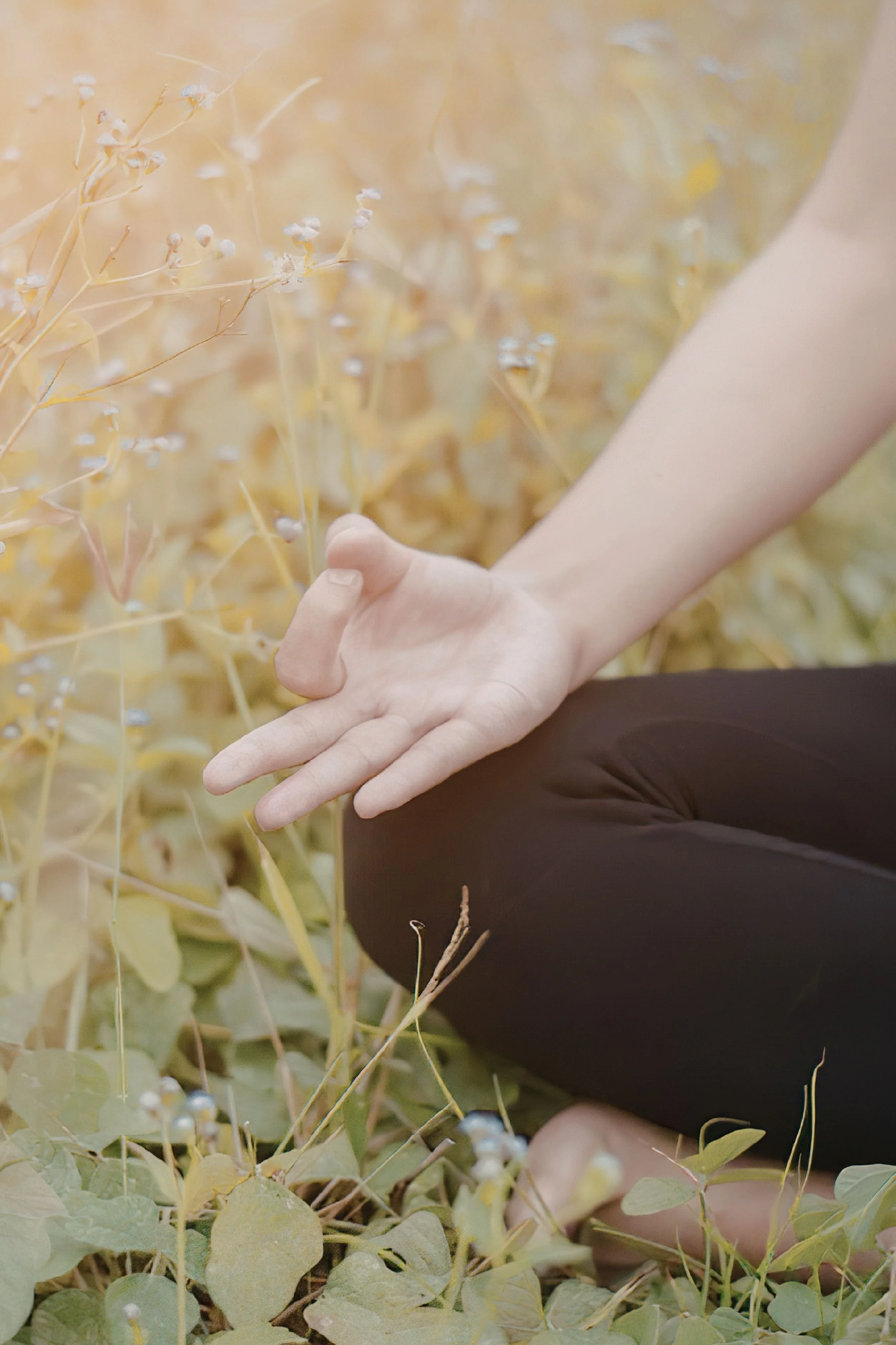 Embodied Recovery Facilitator Training (Virtual)