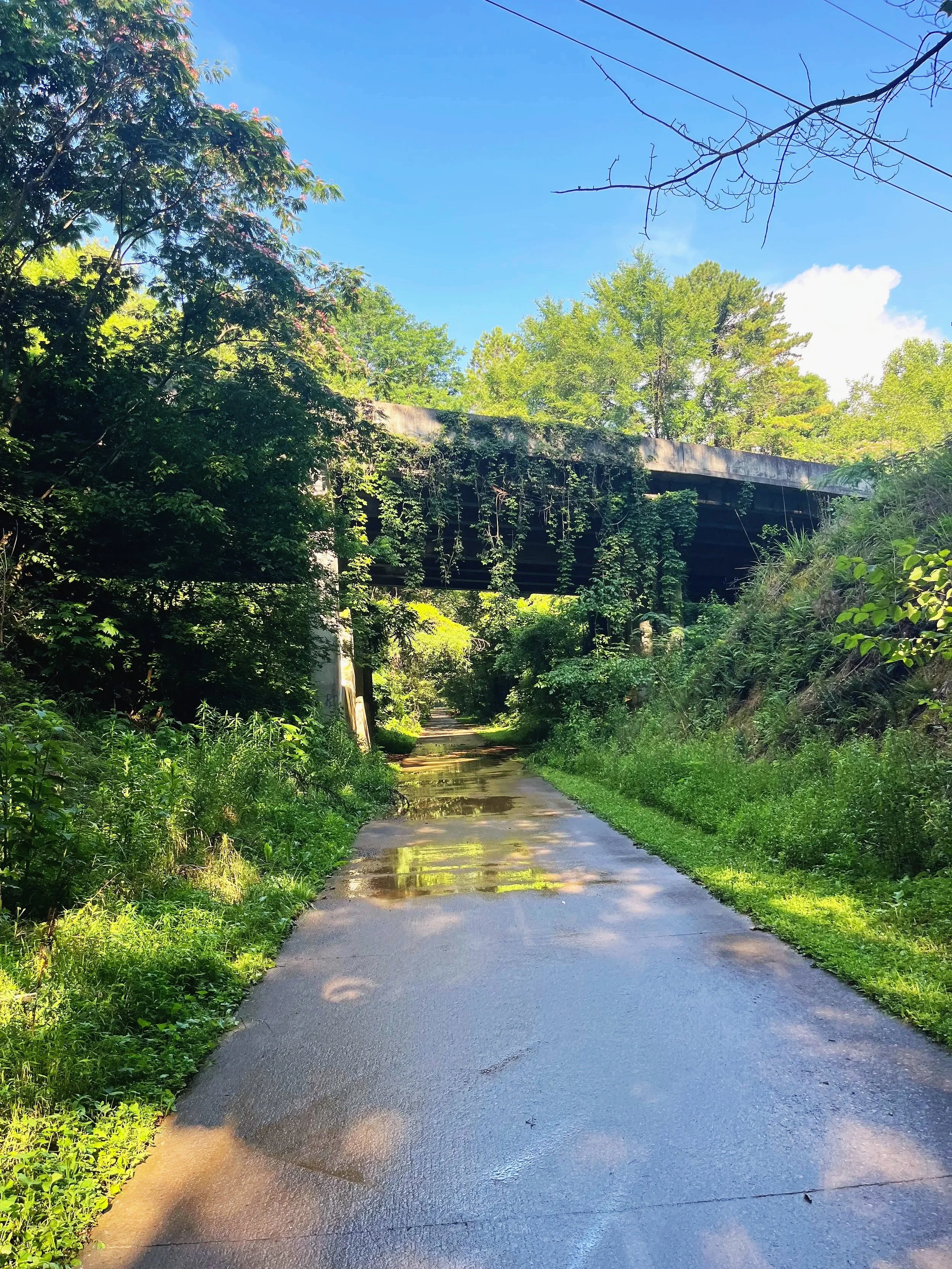 A wet paved pathway in a lush green wooded area with an overpass bridge above and a blue sky with some clouds.