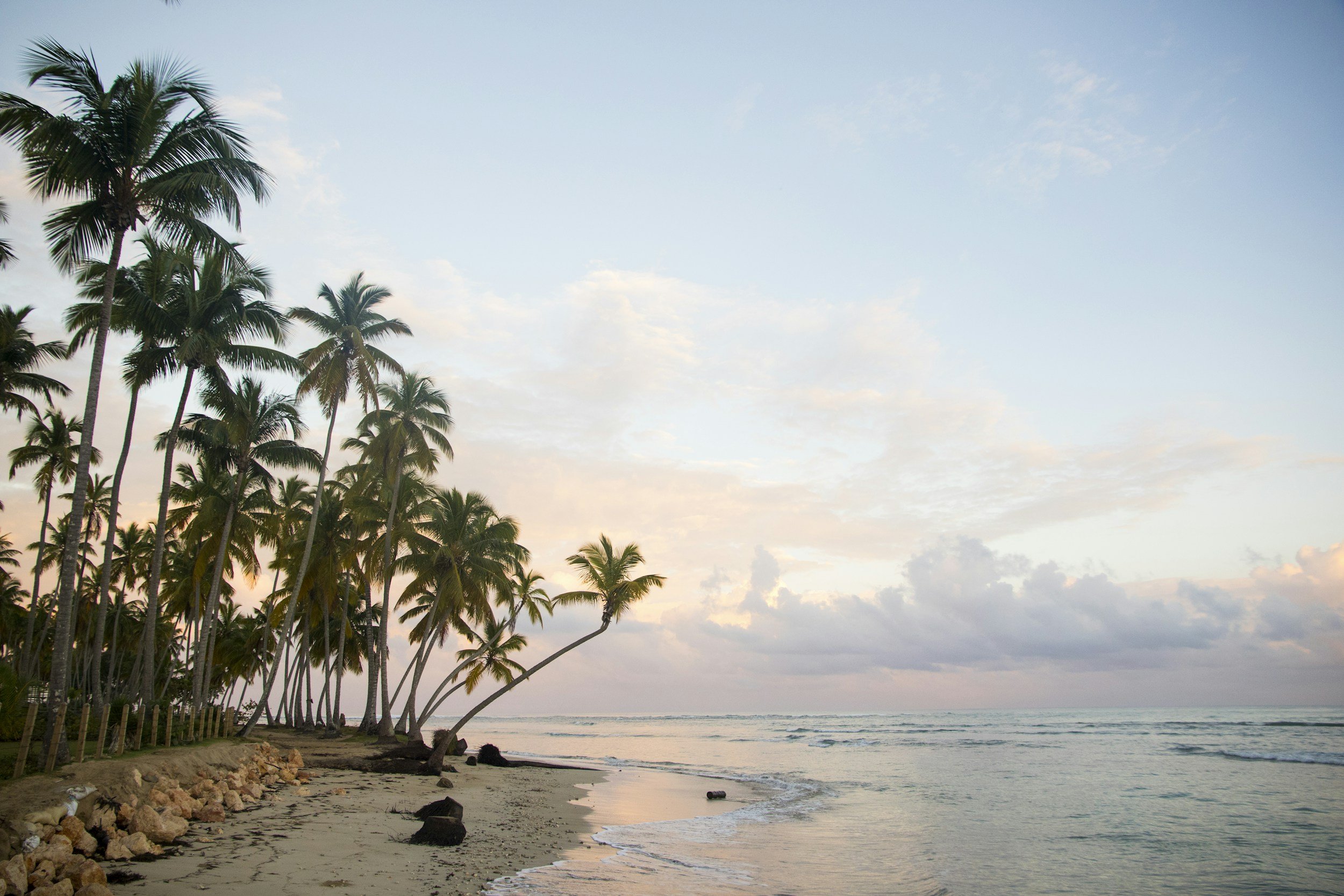 A tropical beach scene with palm trees along the shoreline, gentle waves in the ocean, and a partly cloudy sky during sunset or sunrise.