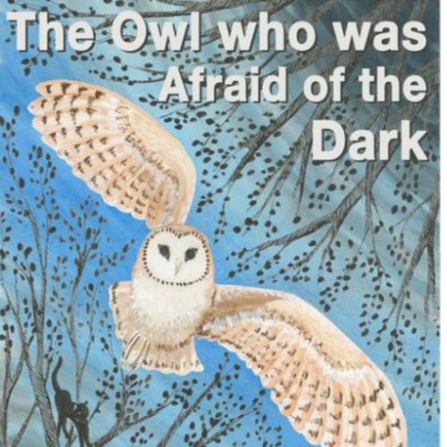 Oliver Rudland's 'The Owl who was Afraid of the Dark'