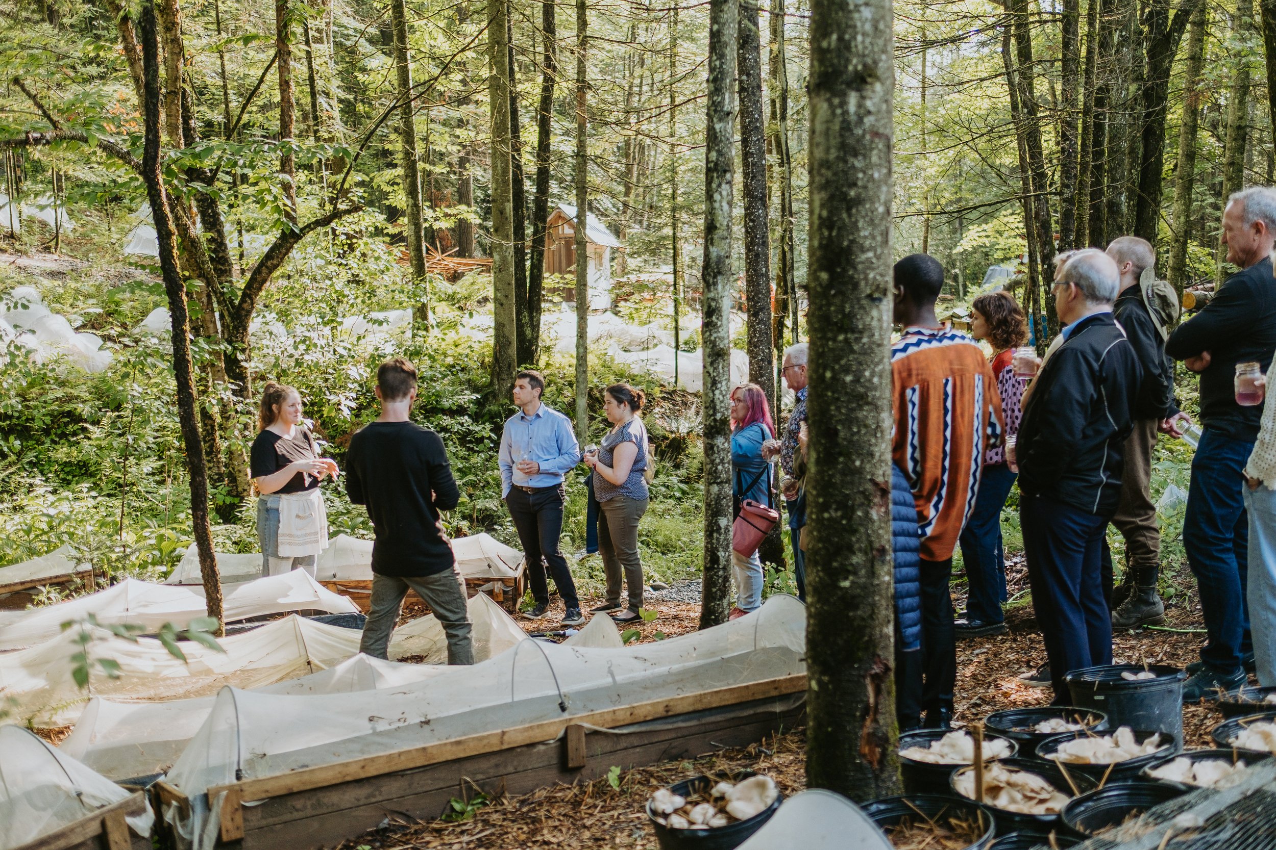 Groupe de personnes en train d'écouter un guide lors d'une visite dans une forêt, avec des plantes et des installations agricoles dans le contexte.