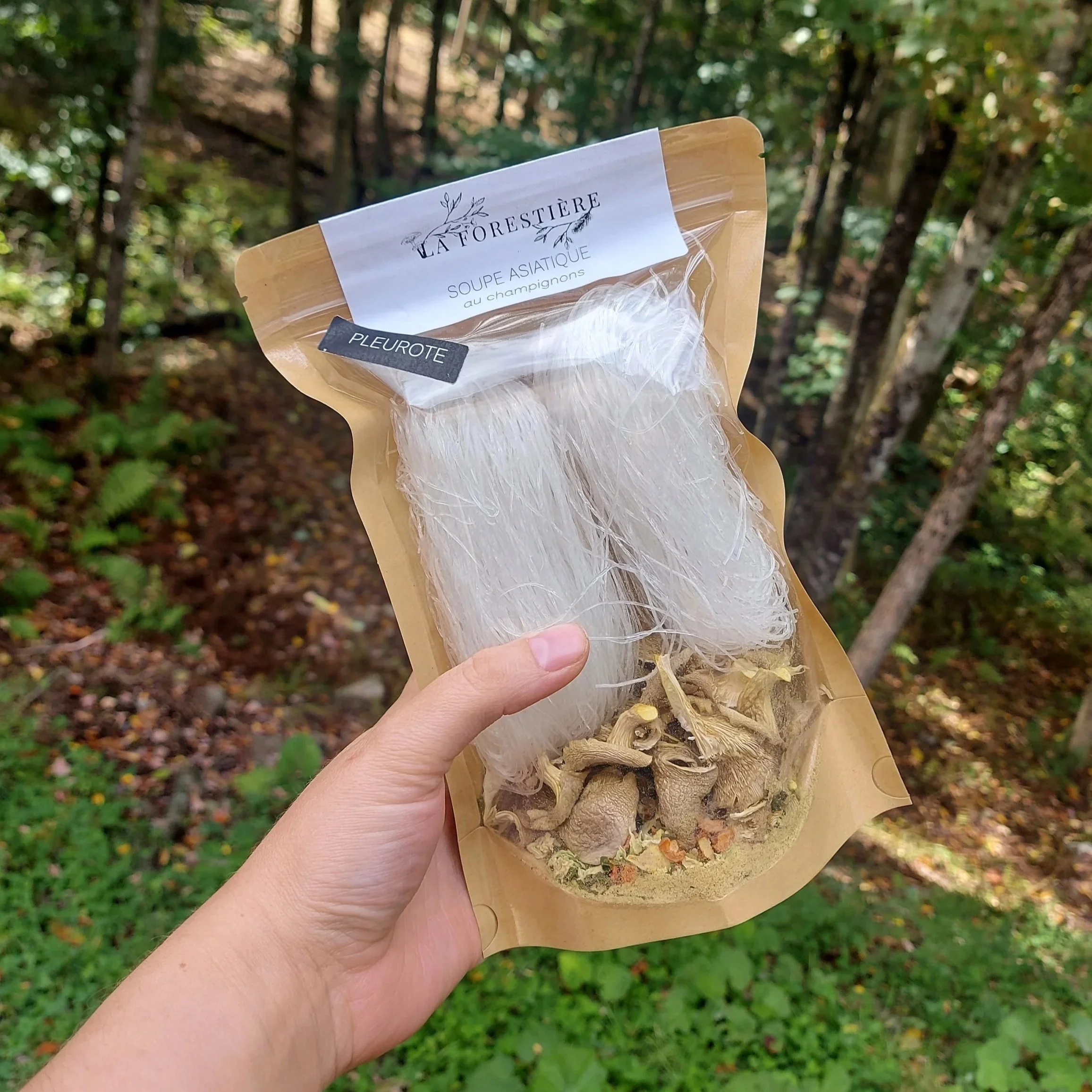Soupe asiatique aux Pleurotes