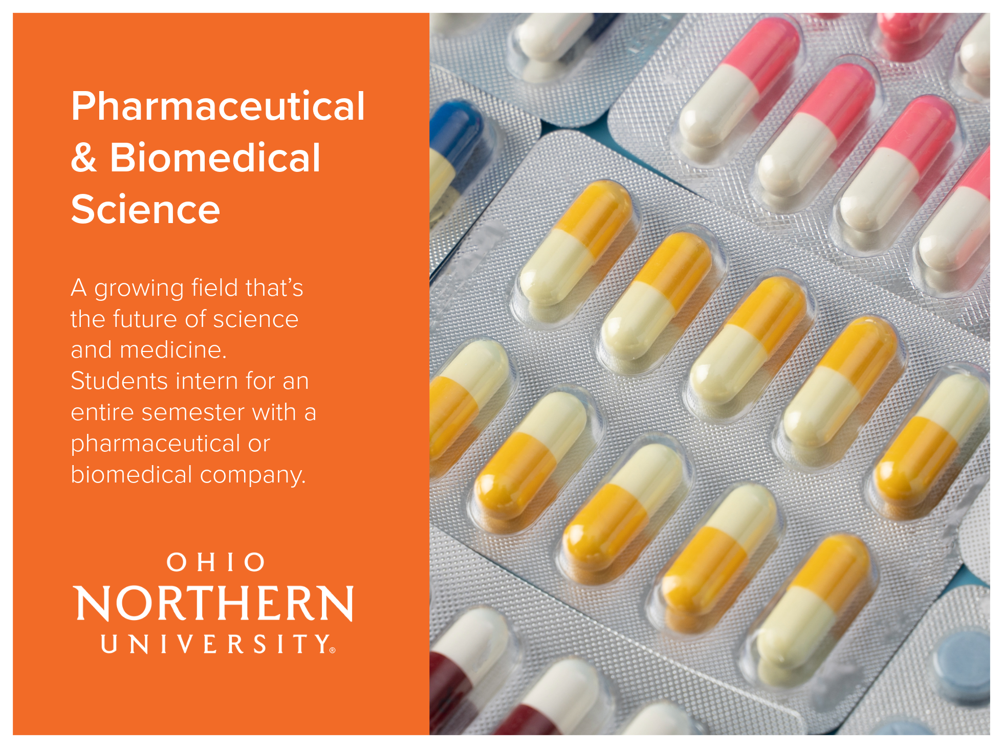 Pharmaceutical and Biomedical Science program at Ohio Northern University is a growing field that’s the future of science and medicine. Students intern for an entire semester with a pharmaceutical or biomedical company. Image of medicine capsules pac