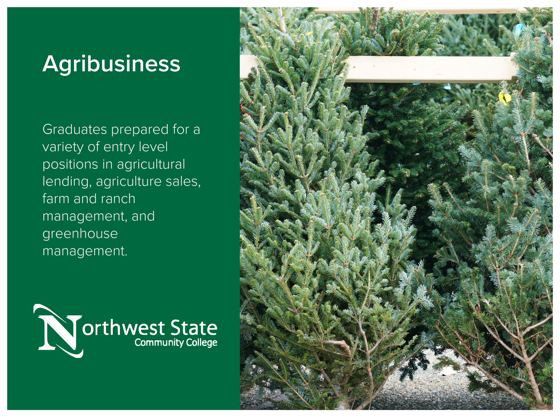 Agribusiness program at Northwest State Community College. Graduates prepared for a variety of entry level positions in agricultural lending, agriculture sales, farm and ranch management, and greenhouse management.