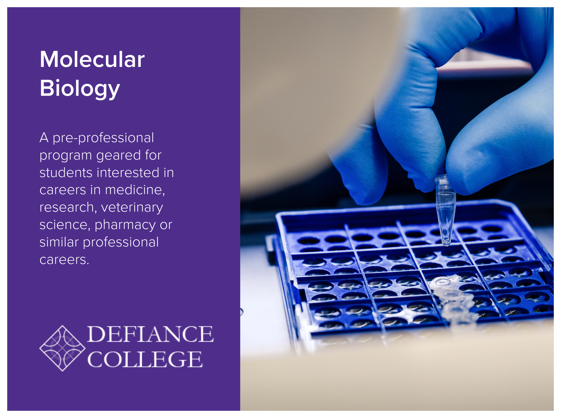 Molecular Biology program at Defiance College is a pre-professional program geared for students interested in careers in medicine, research, veterinary science, pharmacy or similar professional careers. Image of a researcher in a lab working on pipet