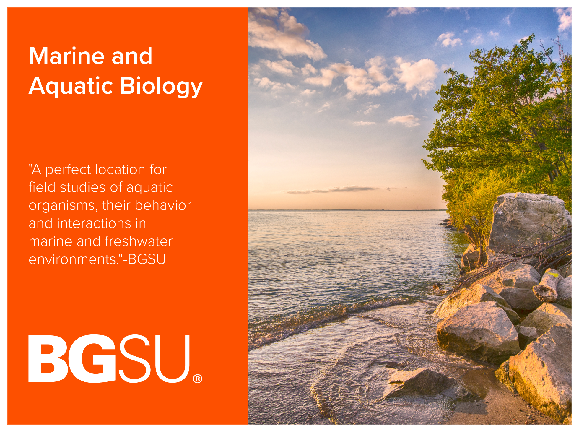 Marine and Aquatic Biology program at Bowling Green State University is a perfect location for field studies of aquatic organisms, their behavior and interactions in marine and freshwater environments. Image shows a freshwater lake edge with trees an