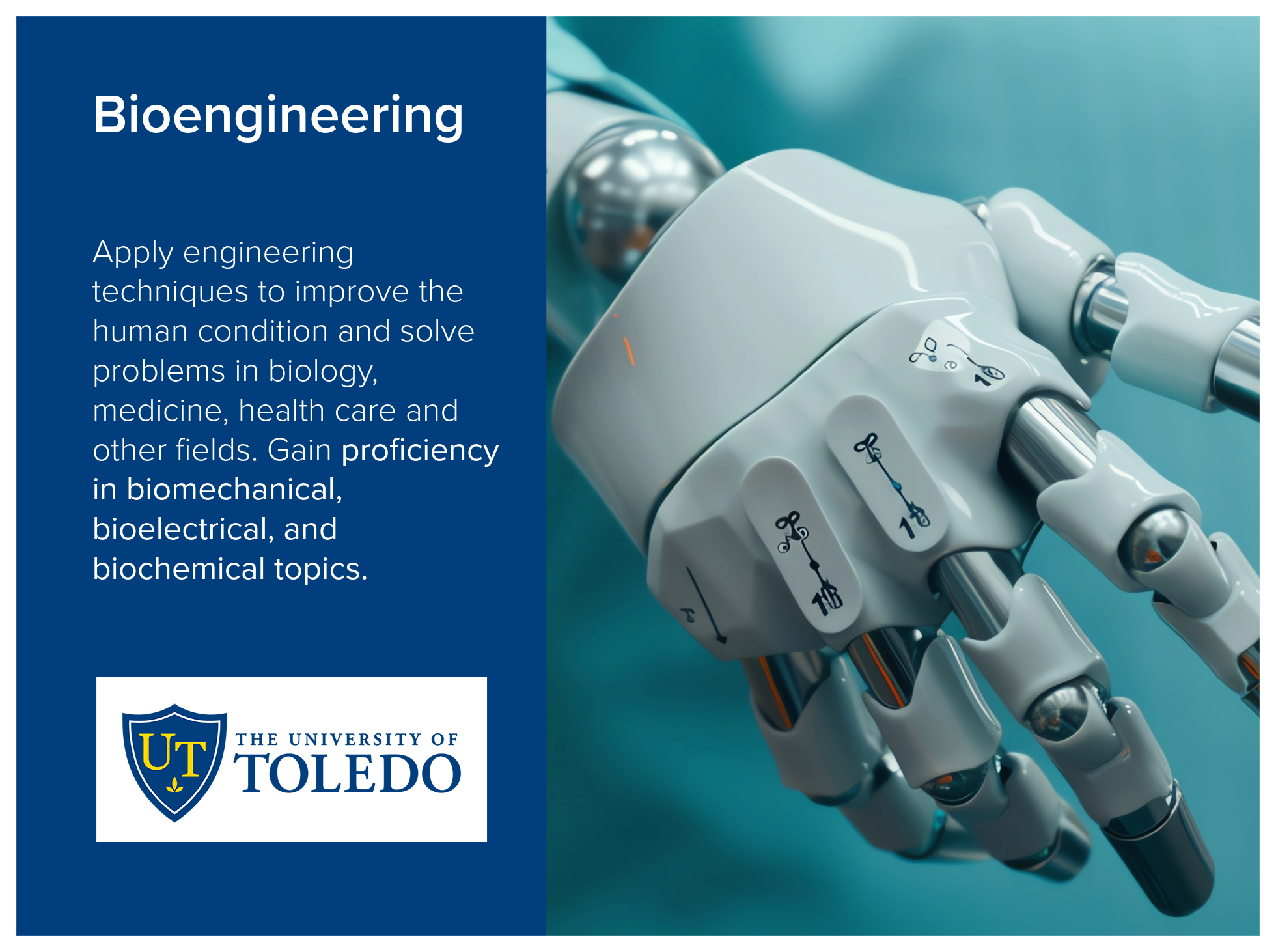 Bioengineering program at the University of Toledo applies engineering techniques to improve the human condition and solve problems in biology, medicine, health care and other fields. Gain proficiency in biomechanical, bioelectrical, and biochemical 