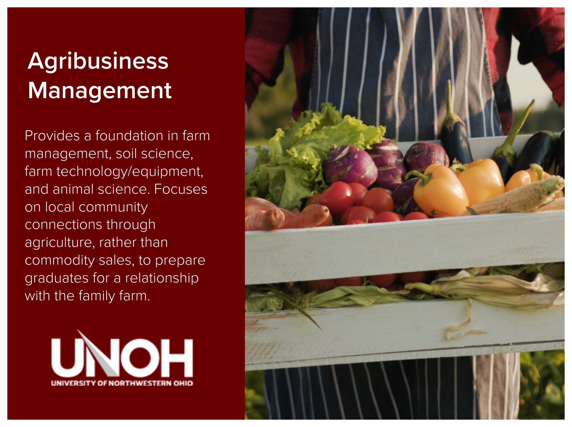 Agribusiness Management program at the University of Northwestern Ohio. Foundation in farm management, soil science, farm technology/equipment, and animal science. 