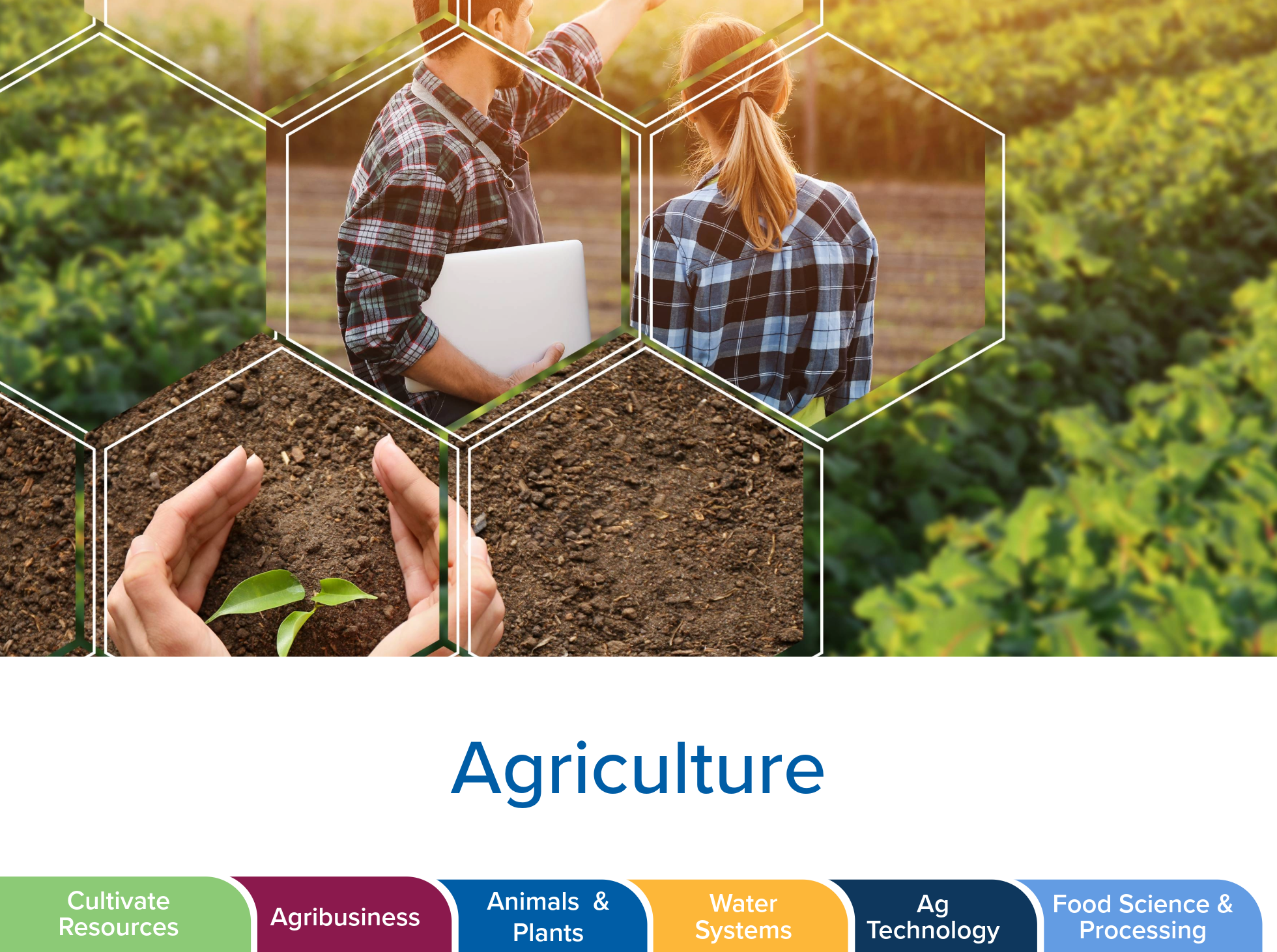 Man and woman in field planted with vegetables. Bottom of image lists careers within the cluster.