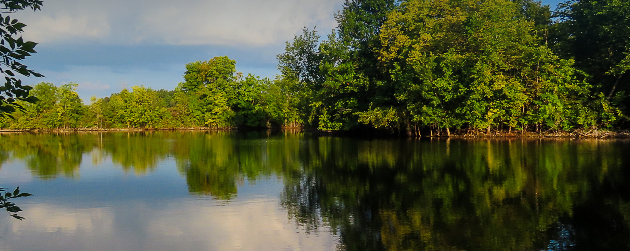 Calm river reflecting green trees along the shoreline.