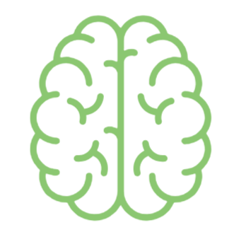 Brain