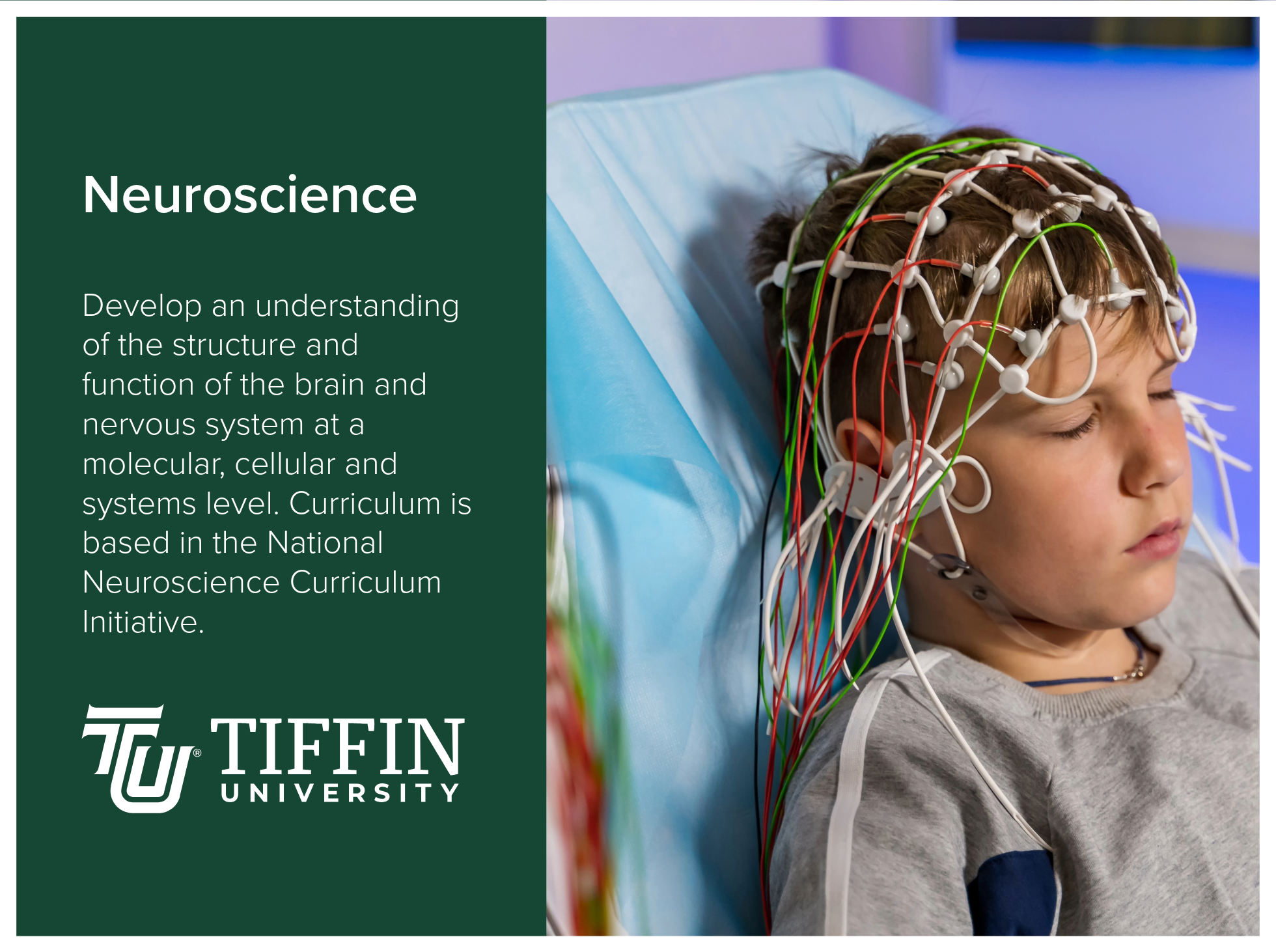 Neuroscience program at Tiffin University helps students develop an understanding of the structure and function of the brain and nervous system at a molecular, cellular and systems level. Curriculum is based in the National Neuroscience Curriculum In