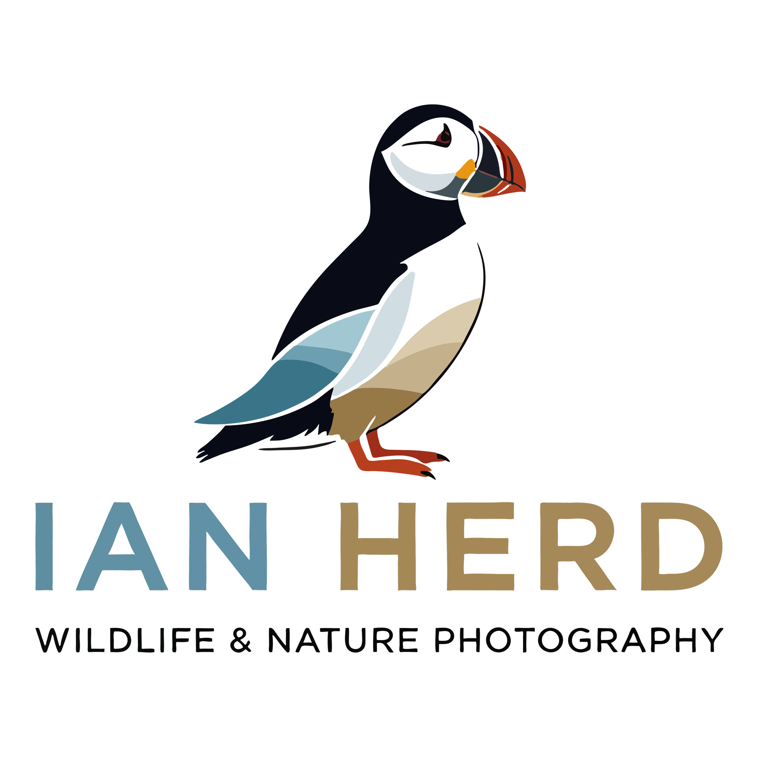 Logo for Ian Herd Wildlife & Nature Photography featuring a stylized puffin bird perched above the text