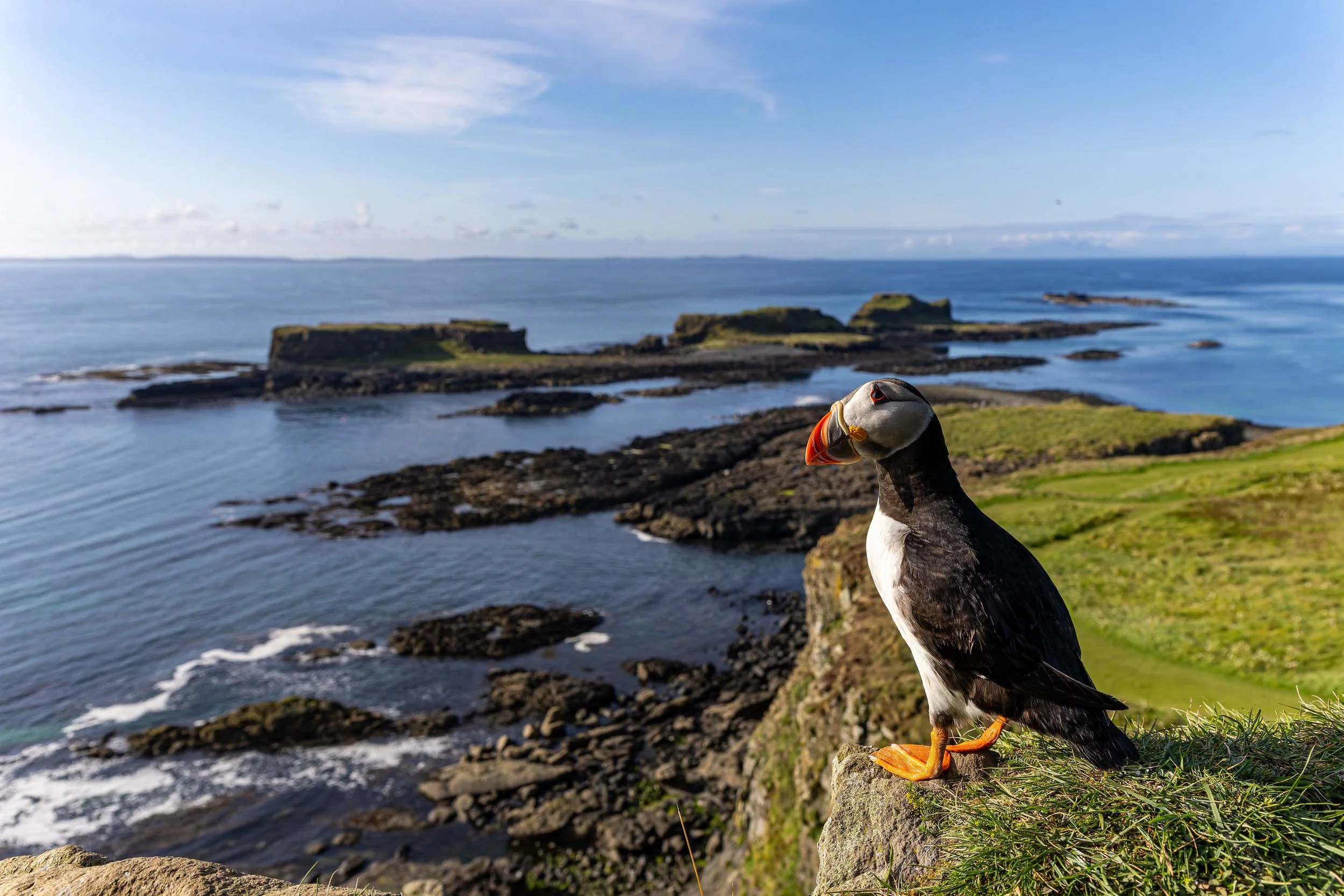 1X5A7450-018.jpg