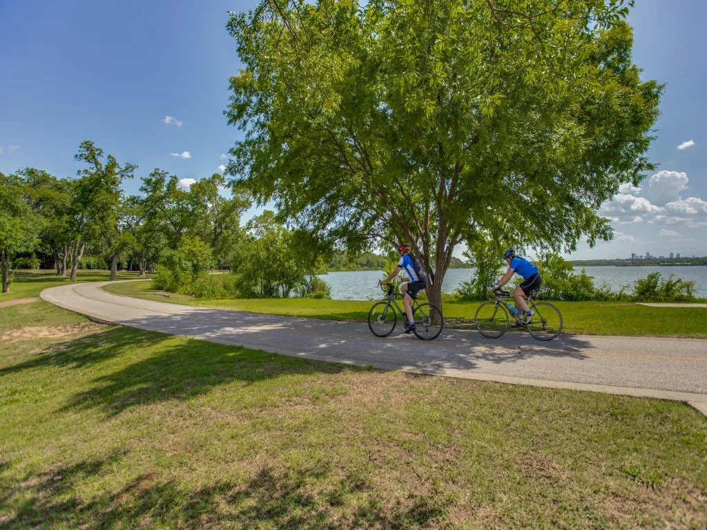 Two cyclists riding along a paved path next to a body of water, under a large green tree on a sunny day with a clear blue sky.