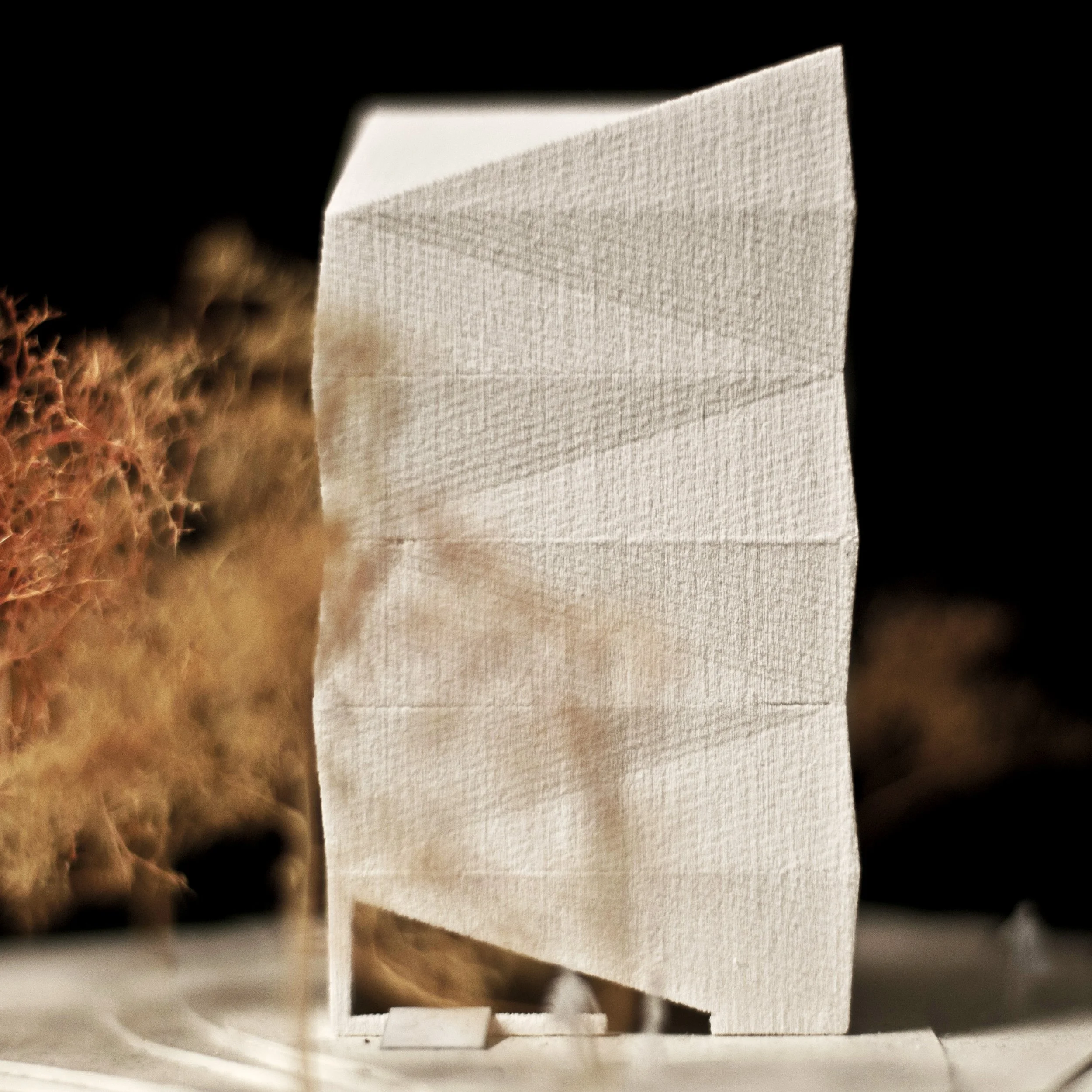 Entwurf "Dialog" für Naturschutzpavilions in  Münster (DE)