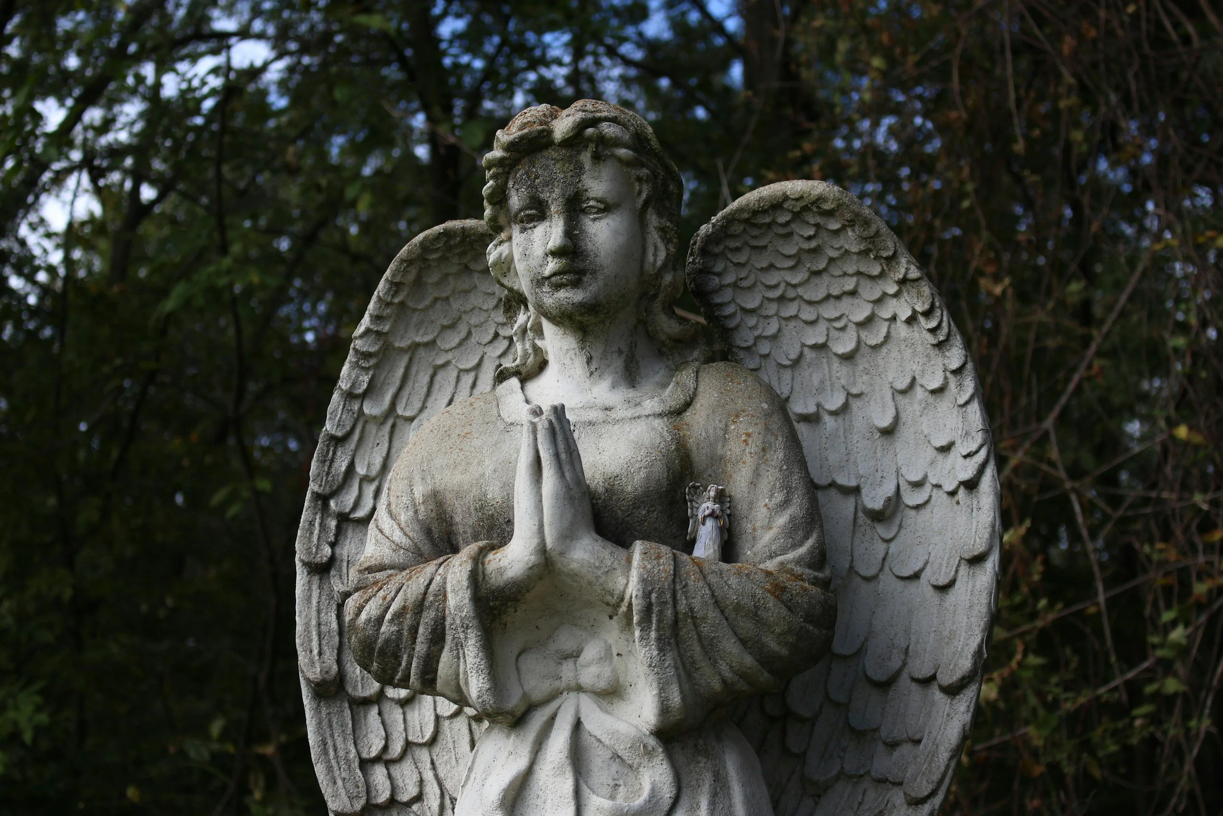 A stone angel statue with detailed wings and praying hands, outdoors with dark green trees in the background.