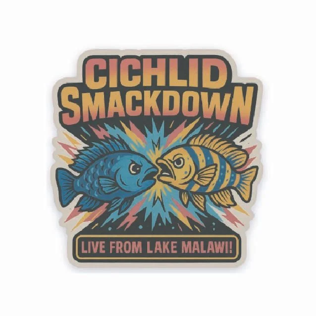 Cichlid Smackdown