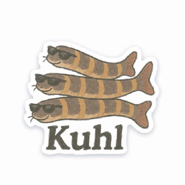 Khuli Loaches