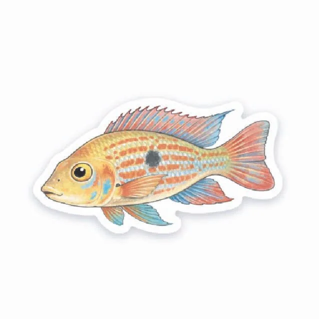 Geophagus