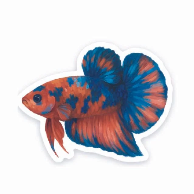 Blue Red Betta