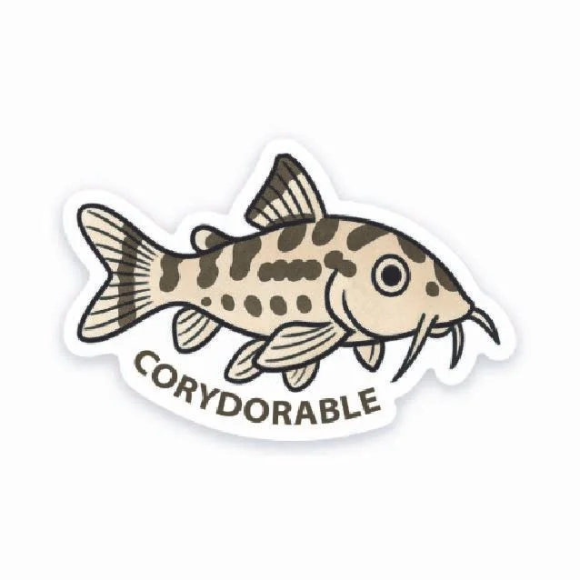 Corydorable