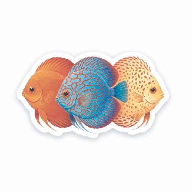 Discus