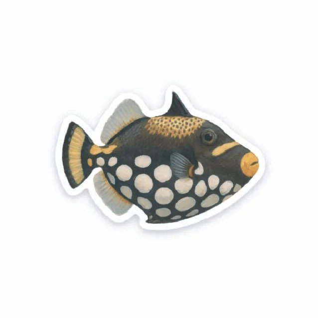 Clown Triggerfish