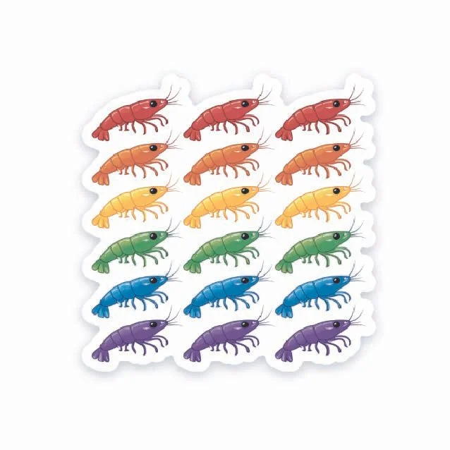 Shrimp Rainbow