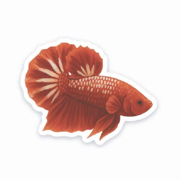 Red Betta