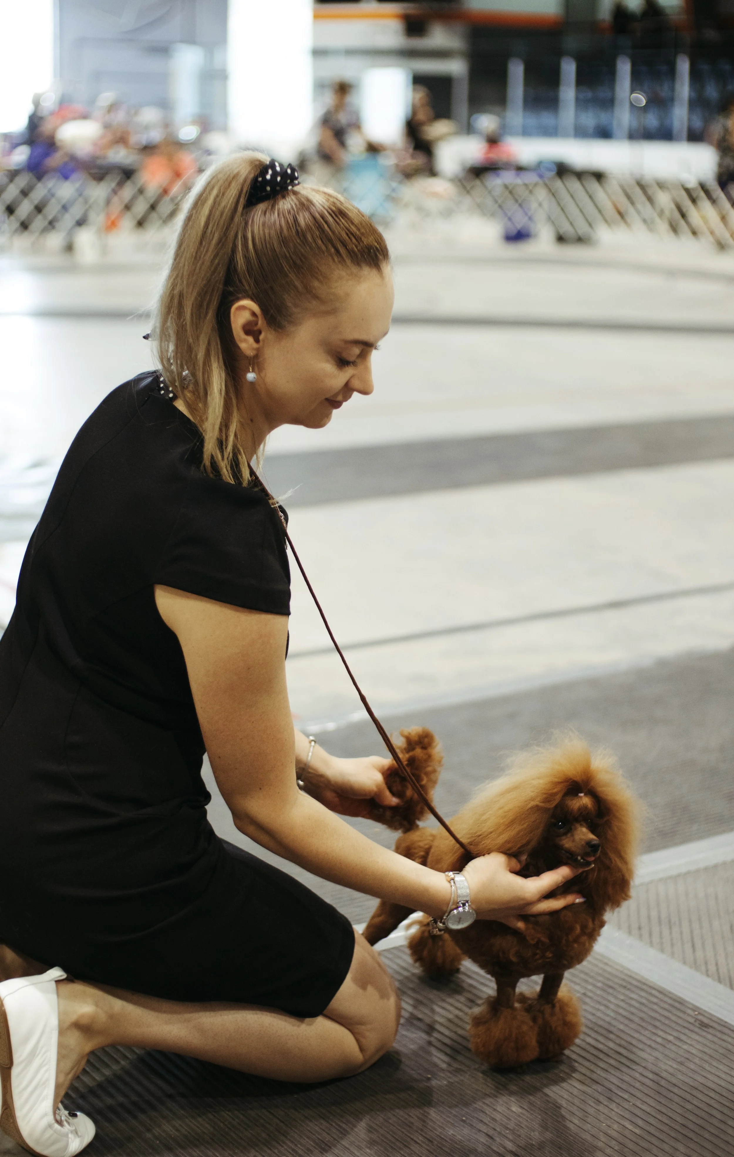 A woman with a high ponytail, dressed in black, kneeling on the floor petting a brown poodle at an indoor dog show or event.