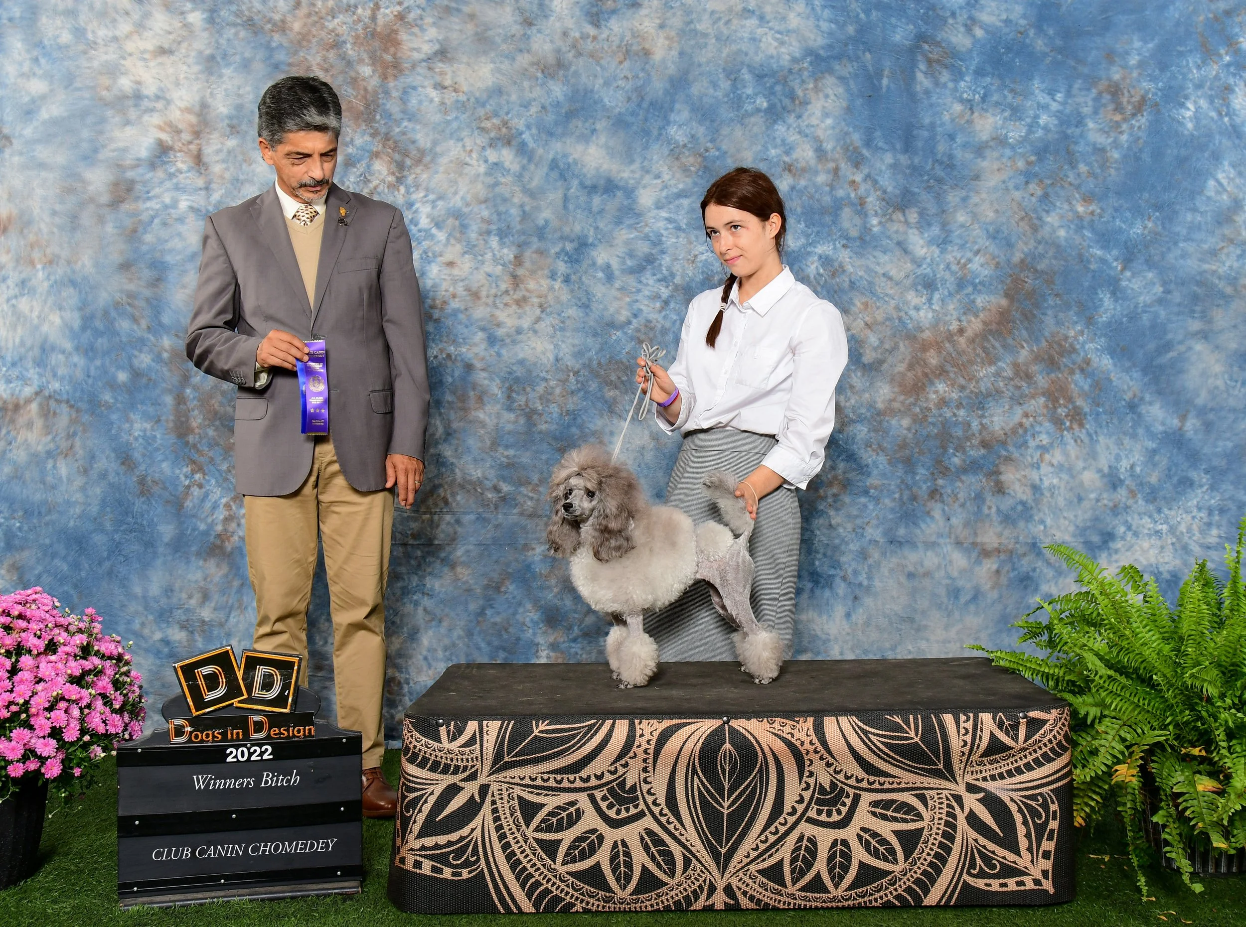 A girl holding a poodle on a platform at a dog show, with a judge holding a ribbon and a sign that reads 'Dogs in Design 2022 Winners Bitch Club Canin Chomedy,' surrounded by pink flowers and green ferns, with a blue and gold patterned backdrop.