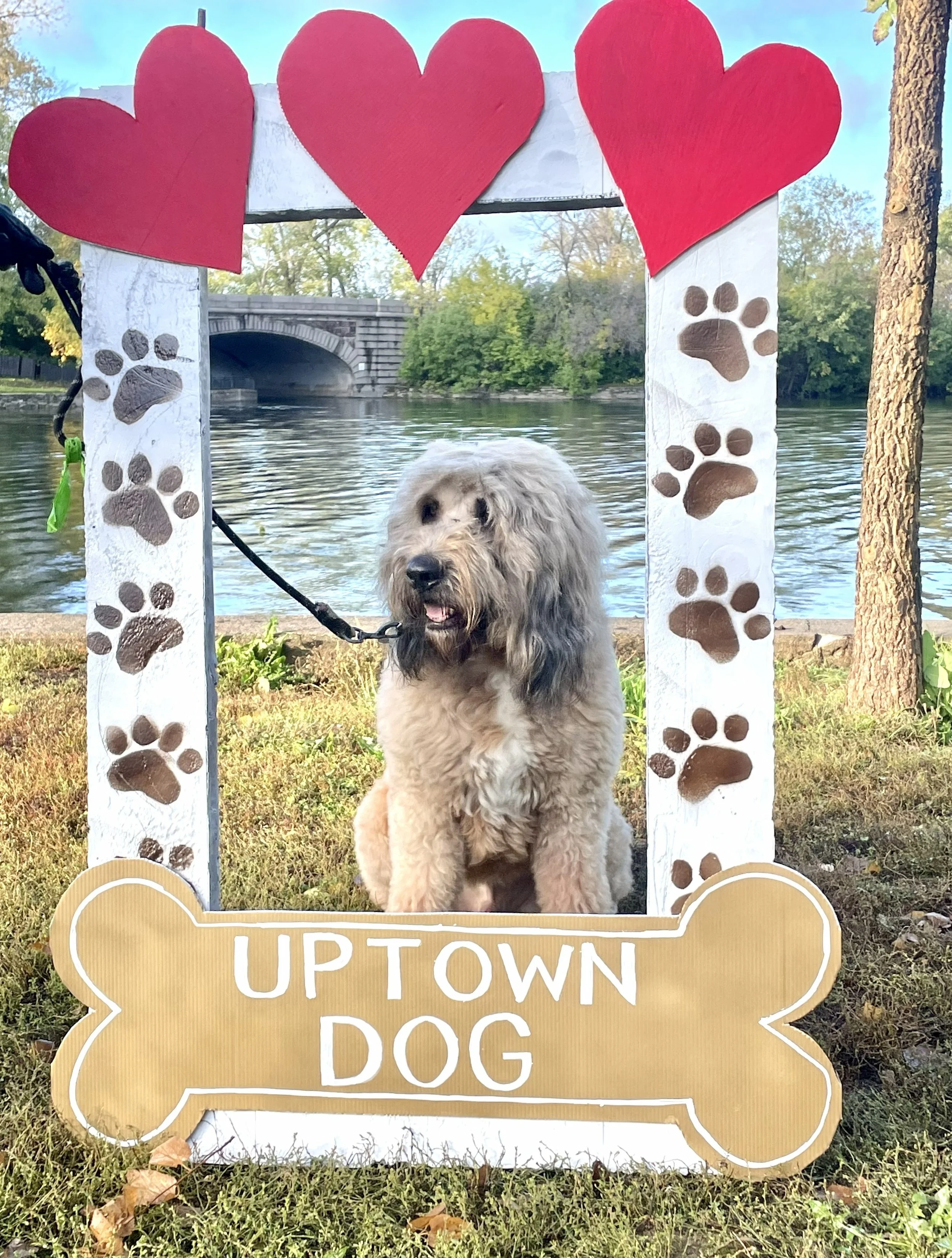 Uptown Dog Fair frame