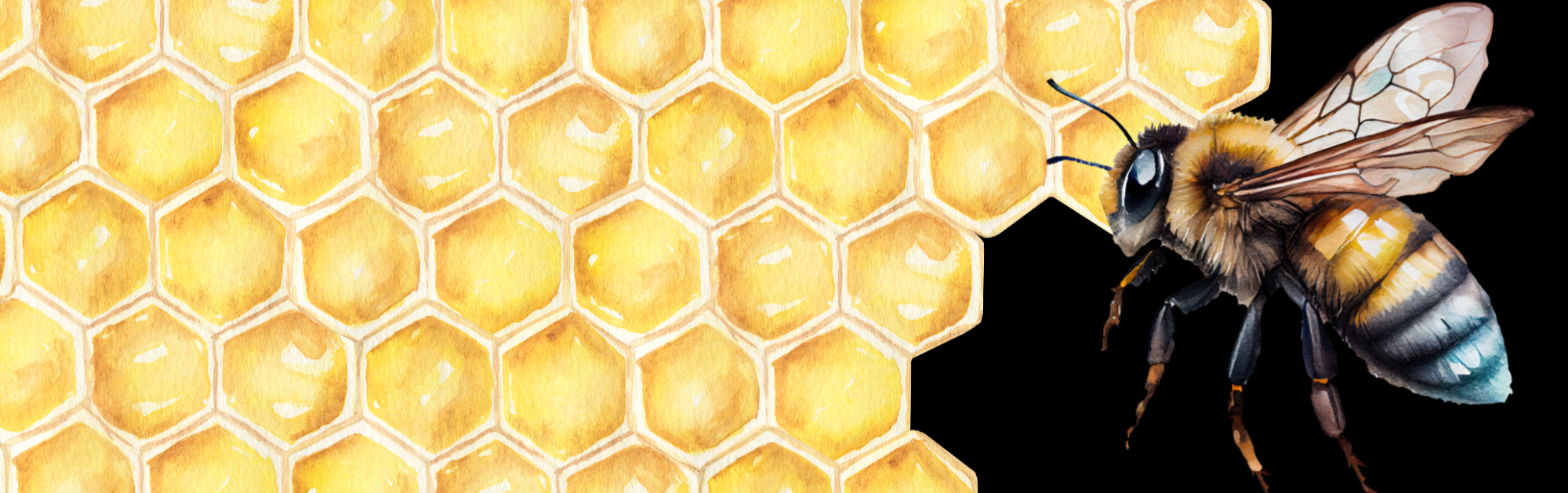 Watercolor illustration of a honeycomb pattern with a bee on the right side, set against a black background.