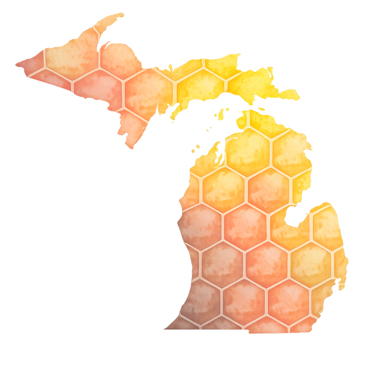 A watercolor outline of the map of Michigan with a honeycomb pattern overlay.