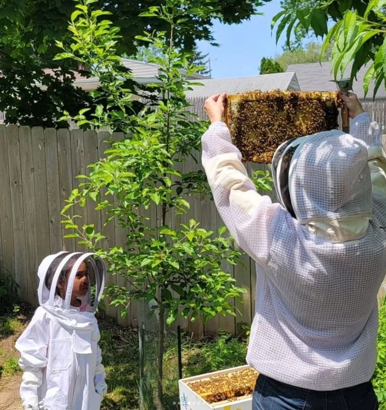 Two children in protective beekeeping suits inspecting a hive in a backyard garden, with one child holding up a honeycomb frame.