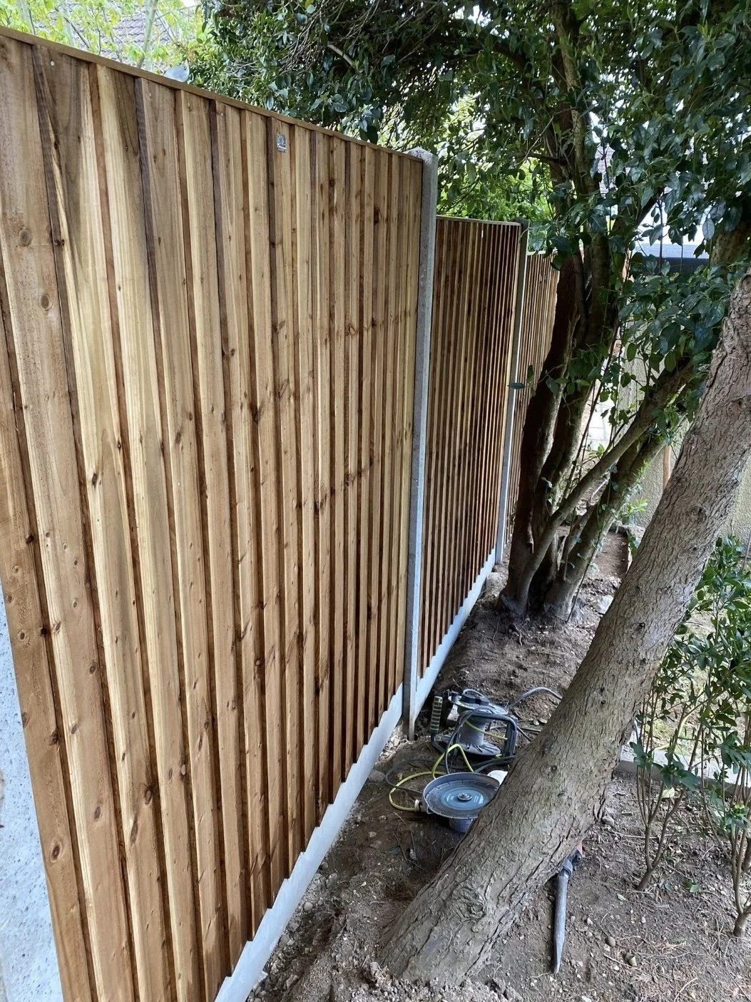New wooden privacy fence being installed next to trees and construction tools on the ground.