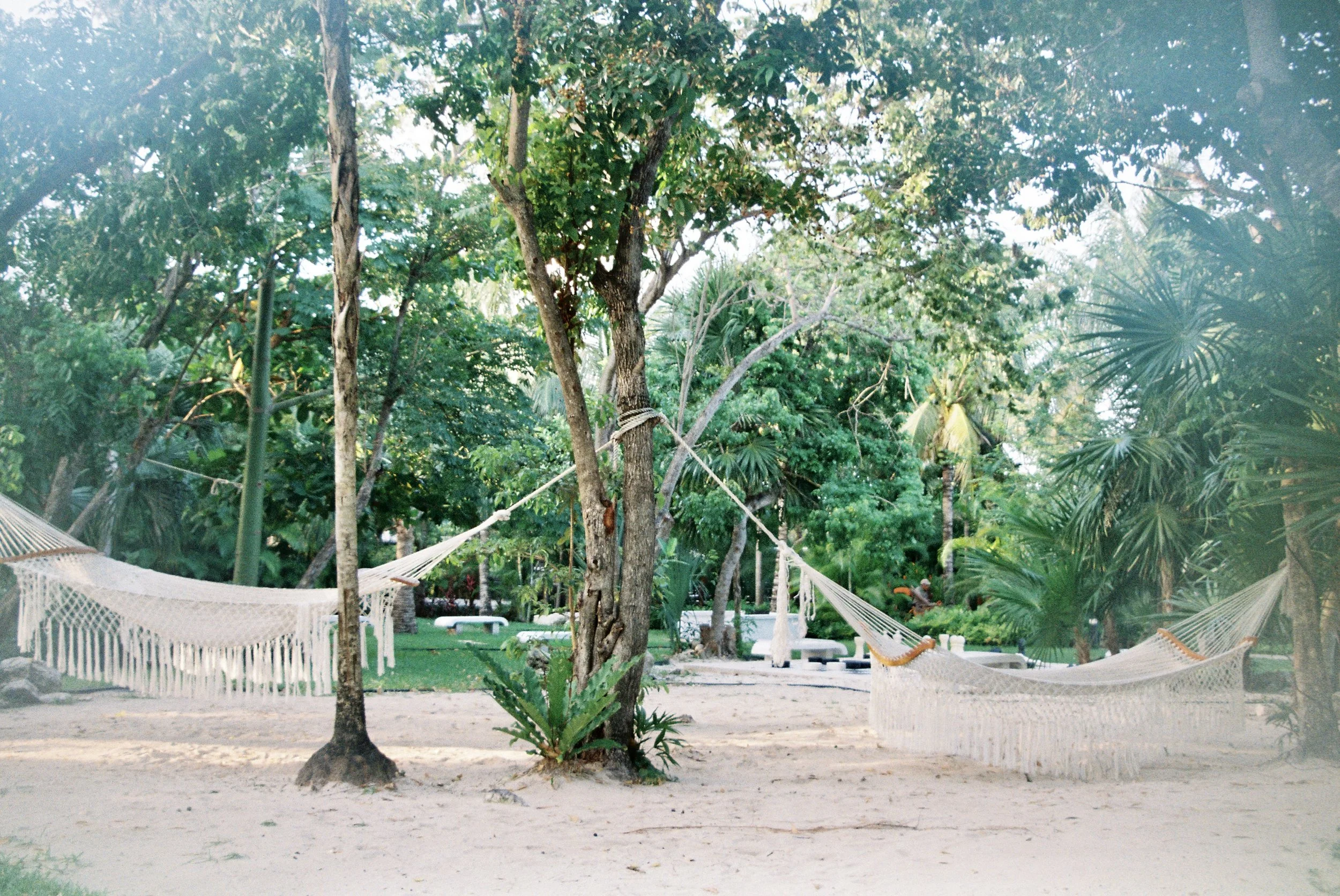 blaorn023156-r2-034.jpg
