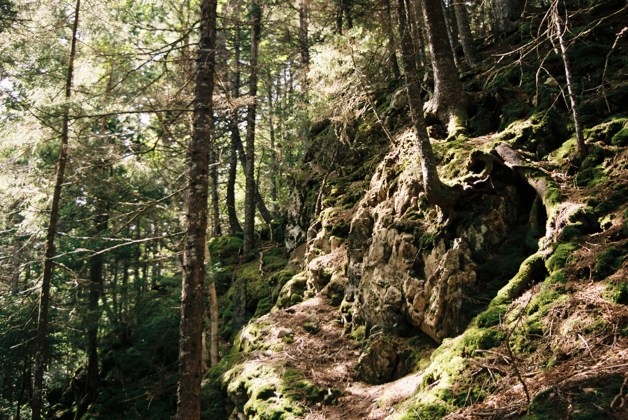 blairor_blairor-r2-046-21a.JPG