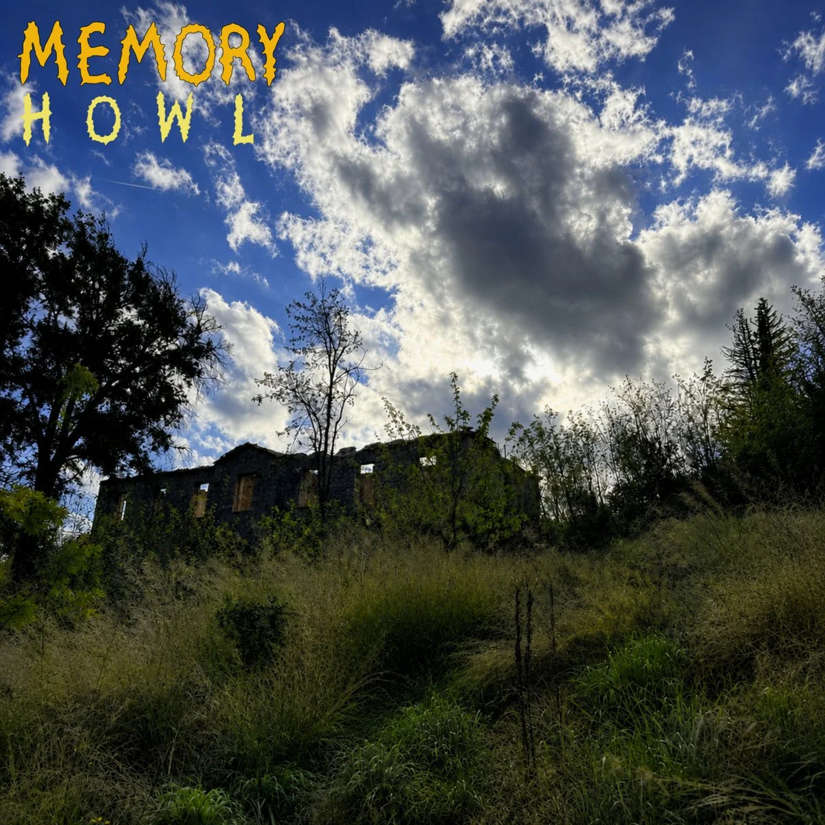MEMORY HOWL (ADDITIONAL ENGINEER/EDITOR)