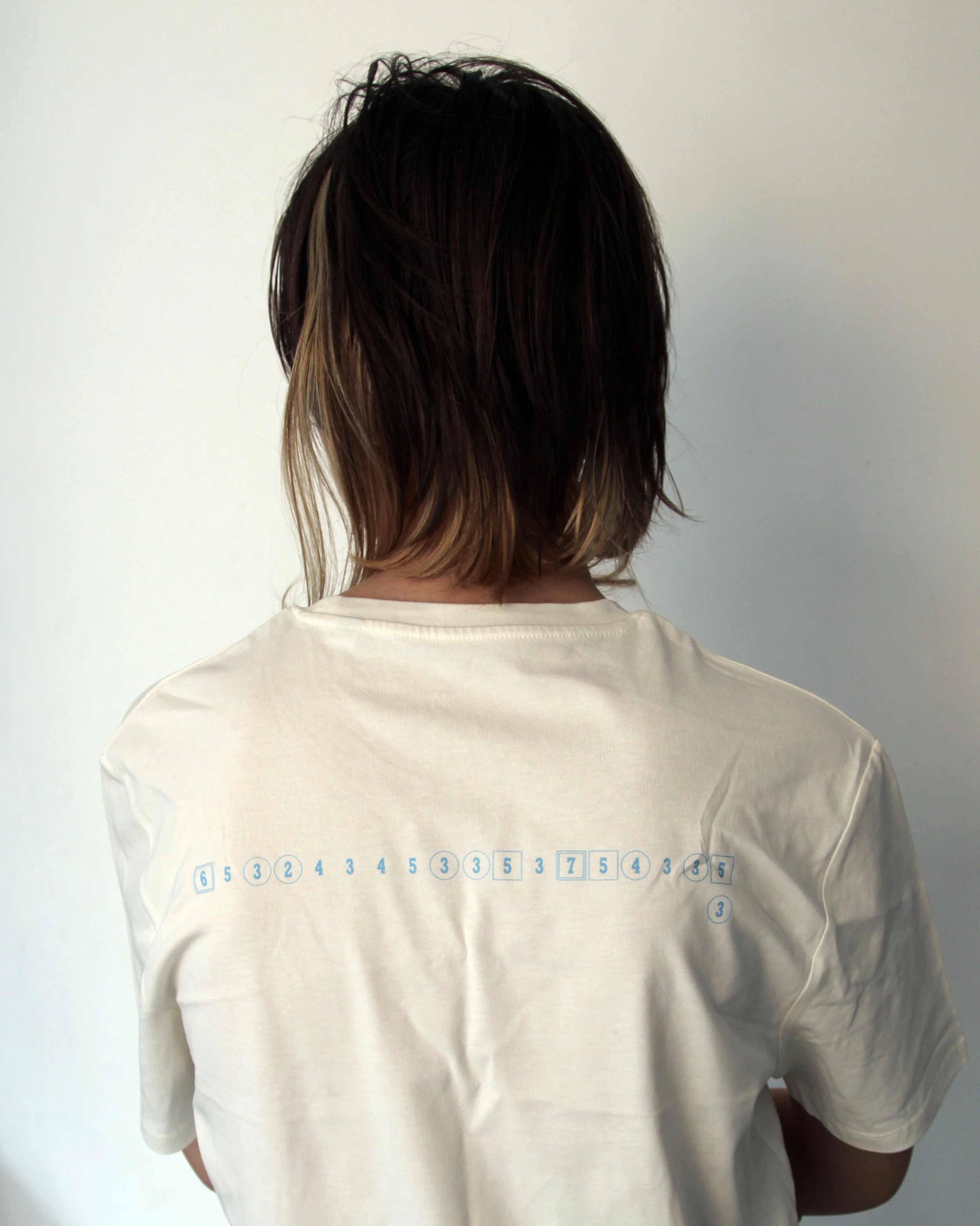 DarcieWhiteTee_BackPIAILRoryEmbroidery.jpg