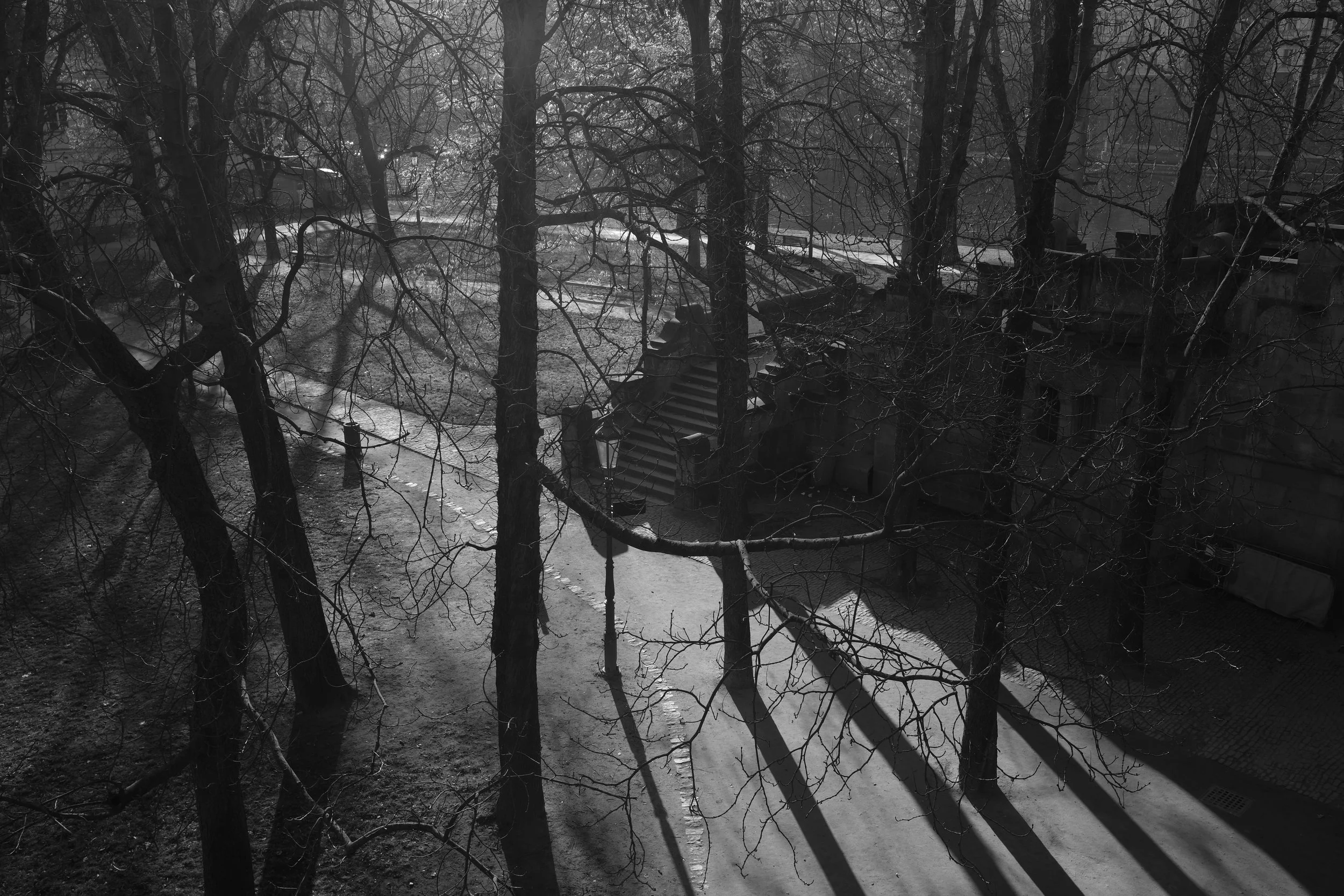 DSCF6728.JPG