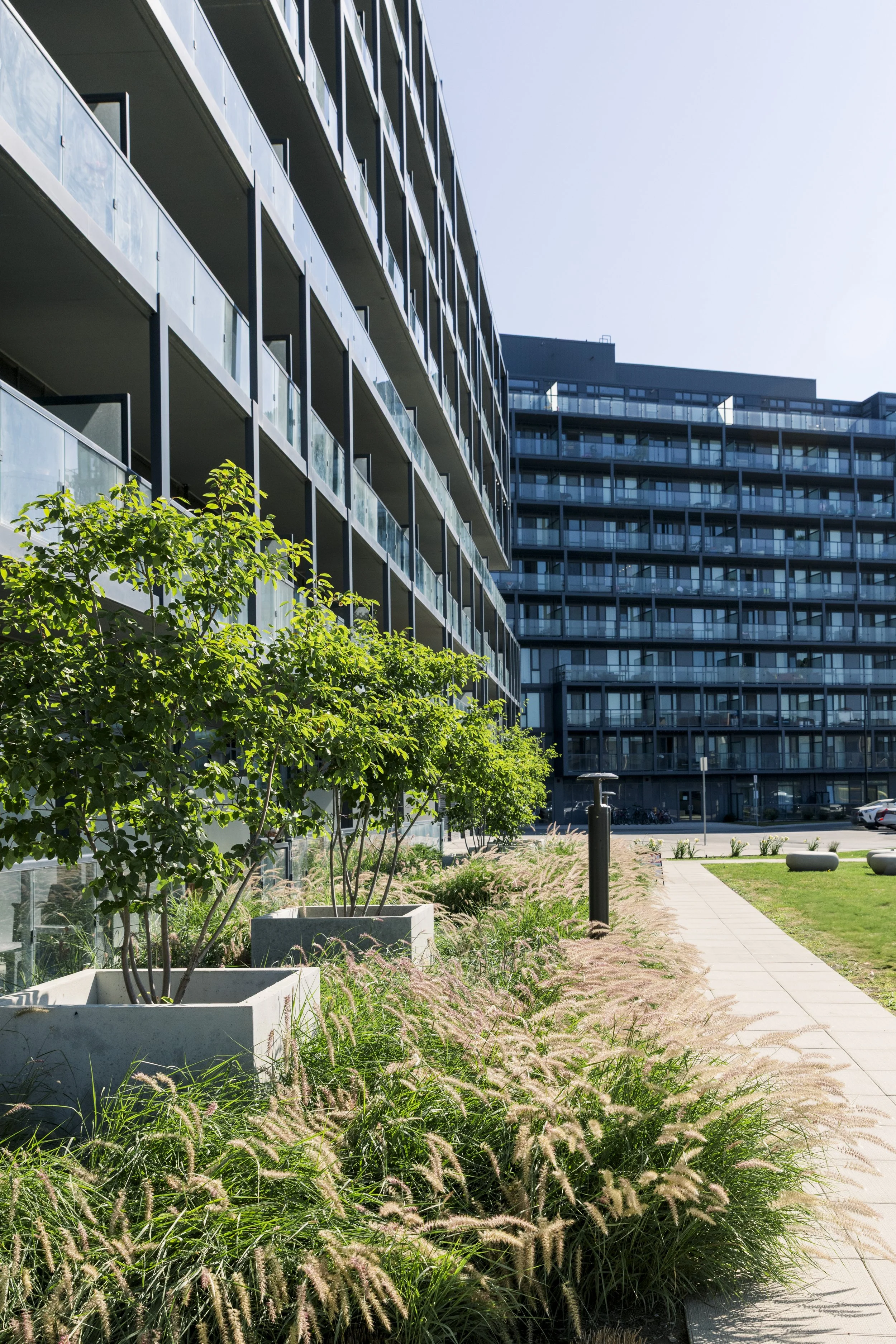 Modern apartment or office building with balconies, a sidewalk, green trees, and ornamental grasses in planters, under a clear blue sky.