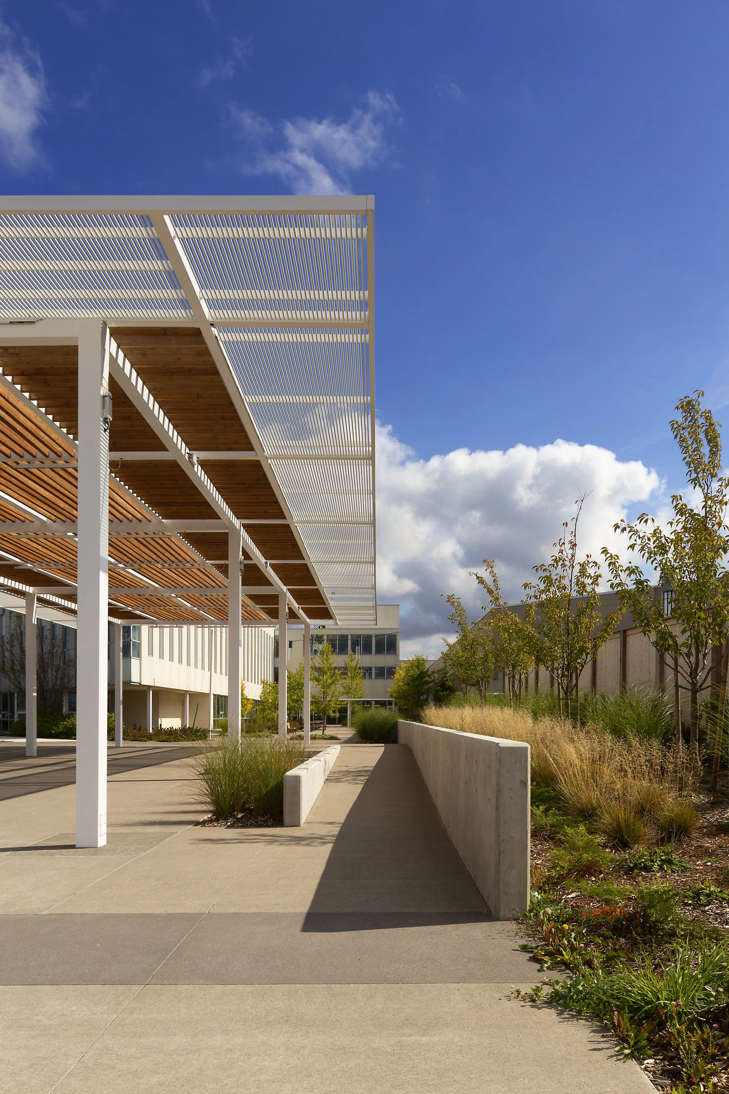 Modern outdoor walkway with wooden and metal pergola, concrete barriers, and landscaped plants on a sunny day with blue sky and clouds.