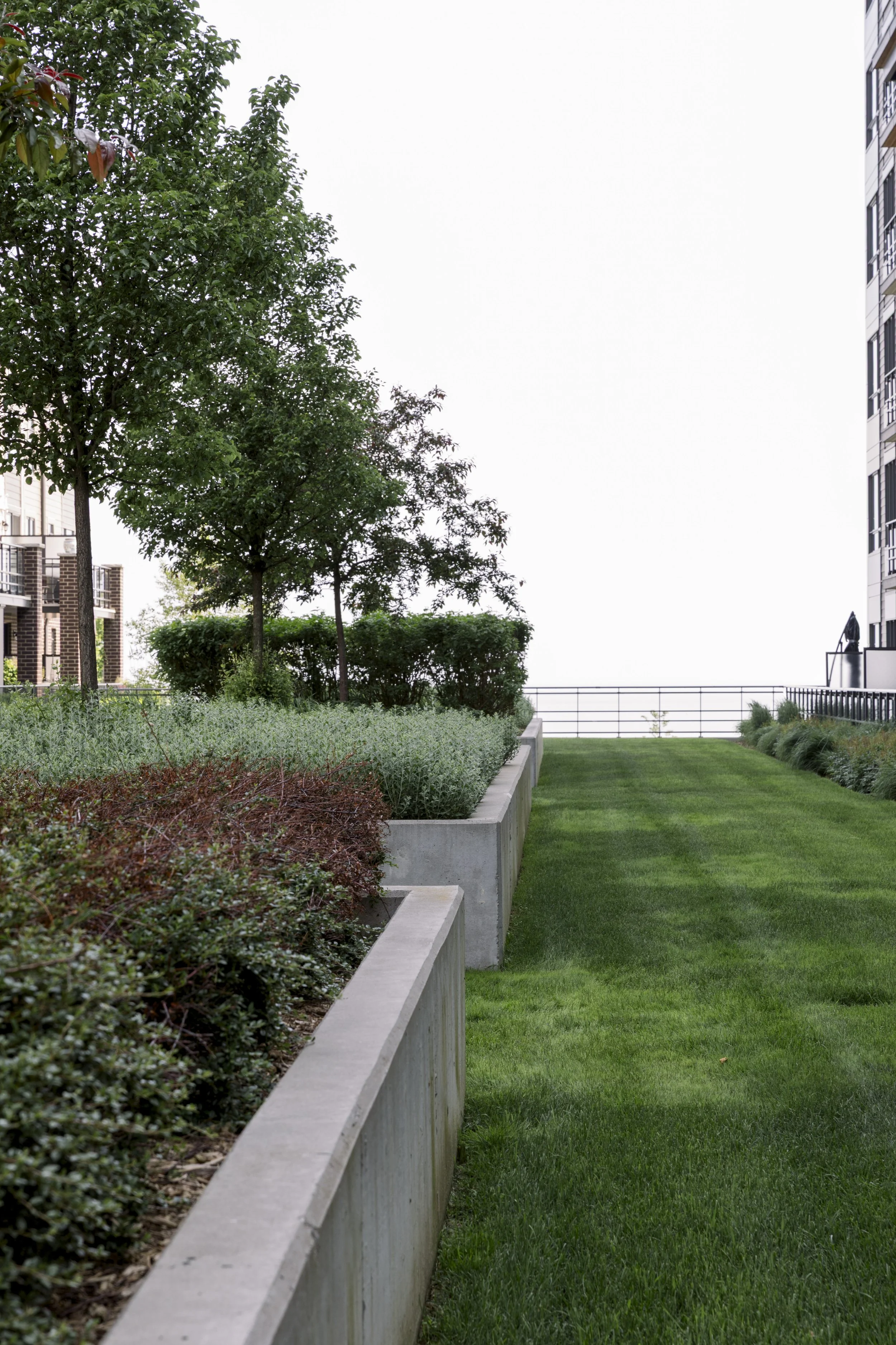 A landscaped rooftop garden with a grassy lawn, concrete planters filled with shrubs and small trees, and a view of neighboring buildings against a white sky.