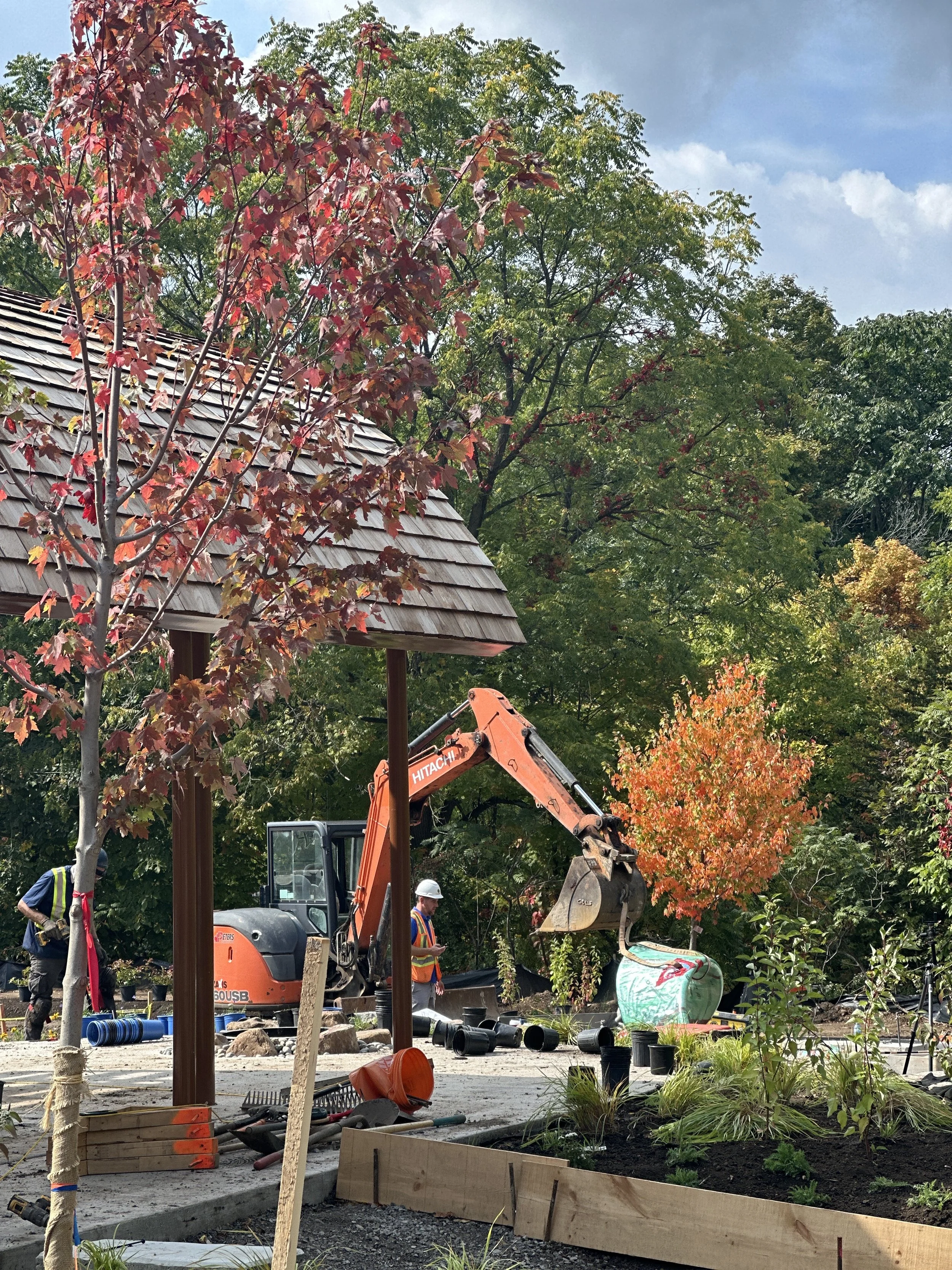 Construction workers and equipment working on a landscaping project in a park, with trees and a small structure with a shingled roof.