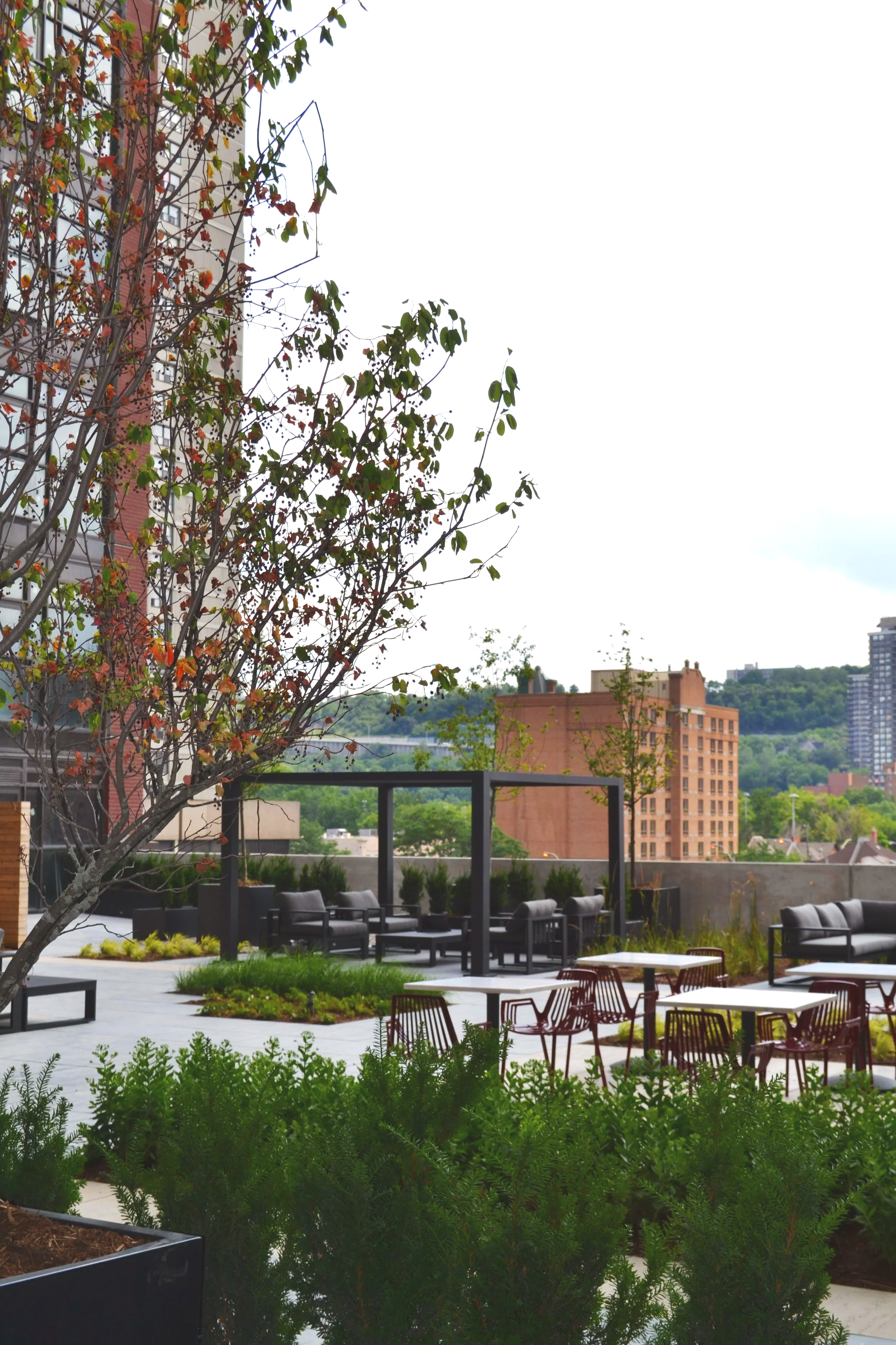 Urban rooftop patio with seating, greenery, and cityscape in the background.