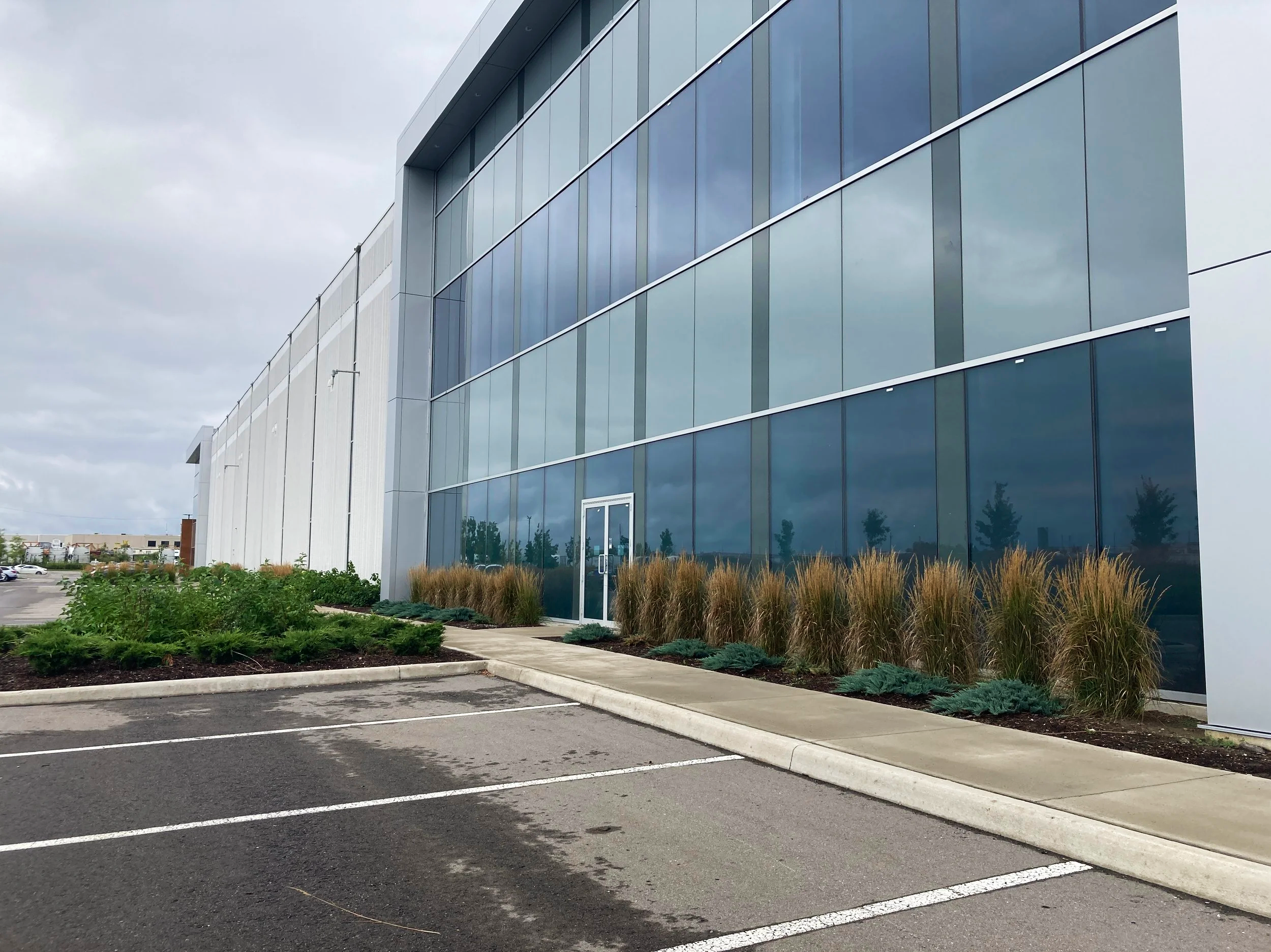 Modern office building with reflective glass windows and a landscaped parking lot with plants and shrubs outside.